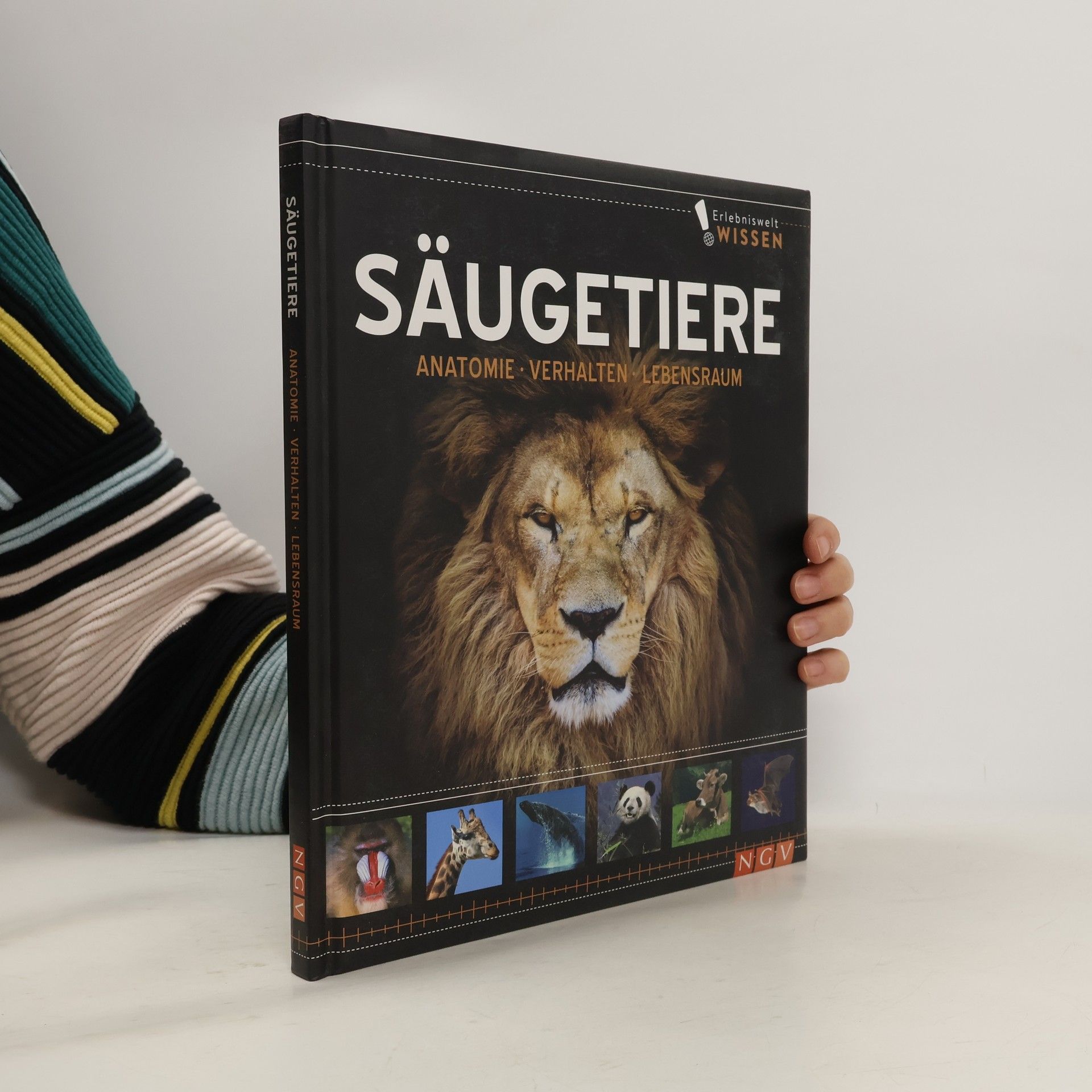 Autorenkollektiv Säugetiere. Anatomie, Verhalten, Lebensraum