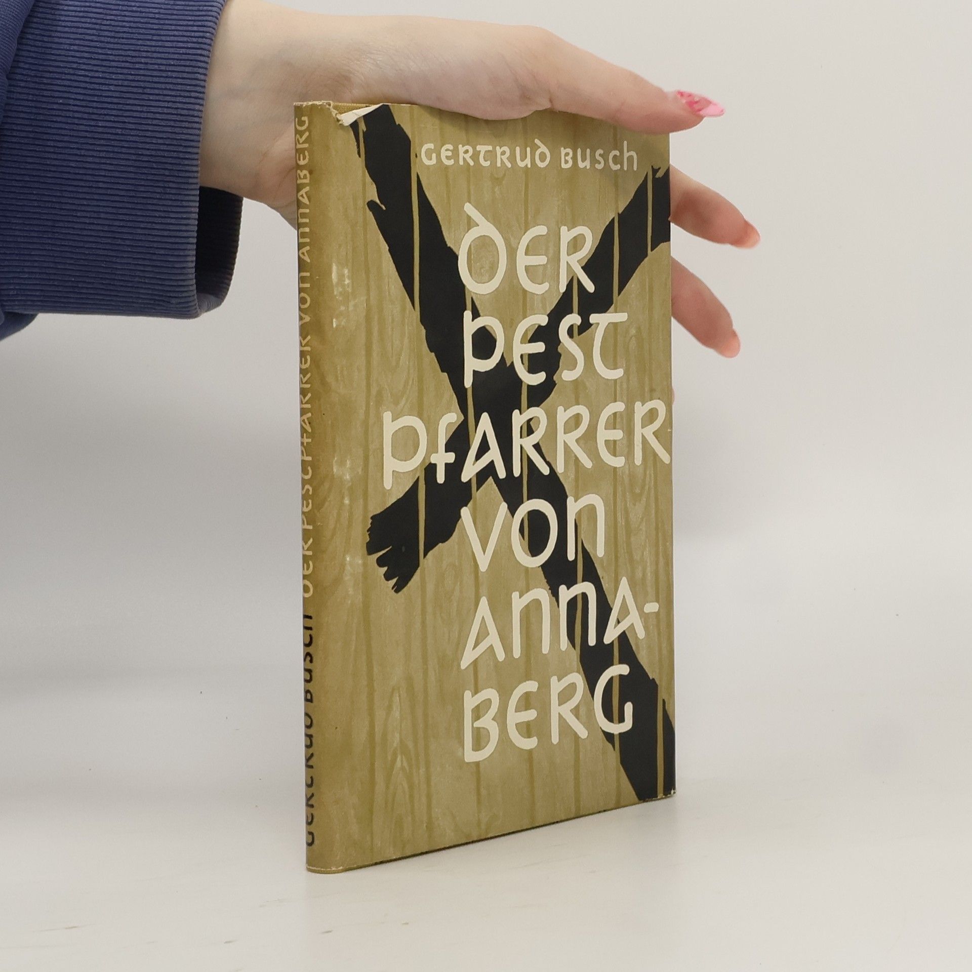 Gertrud Busch Der Pestpfarrer von Annaberg