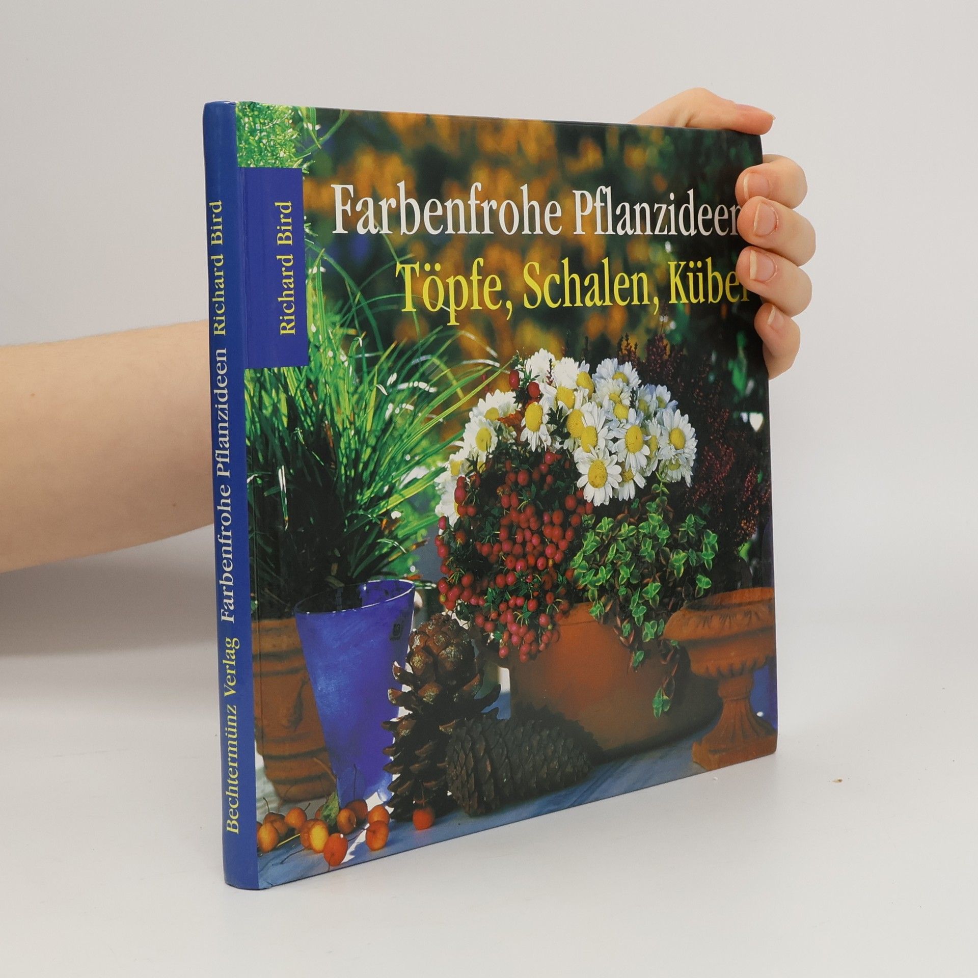 Farbenfrohe Pflanzideen. Töpfe, Schalen, Kübel