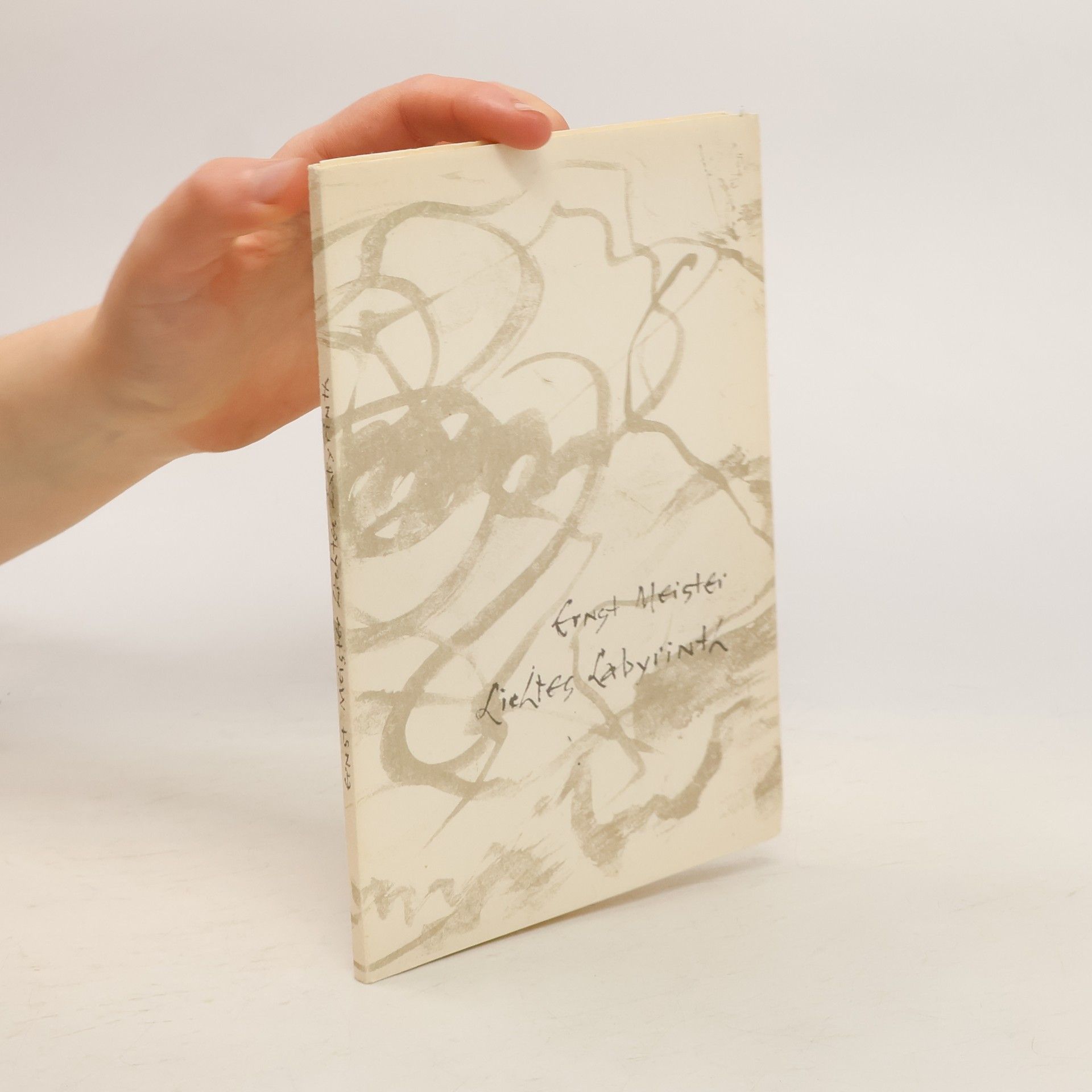 Ernst Meister Lichtes Labyrinth