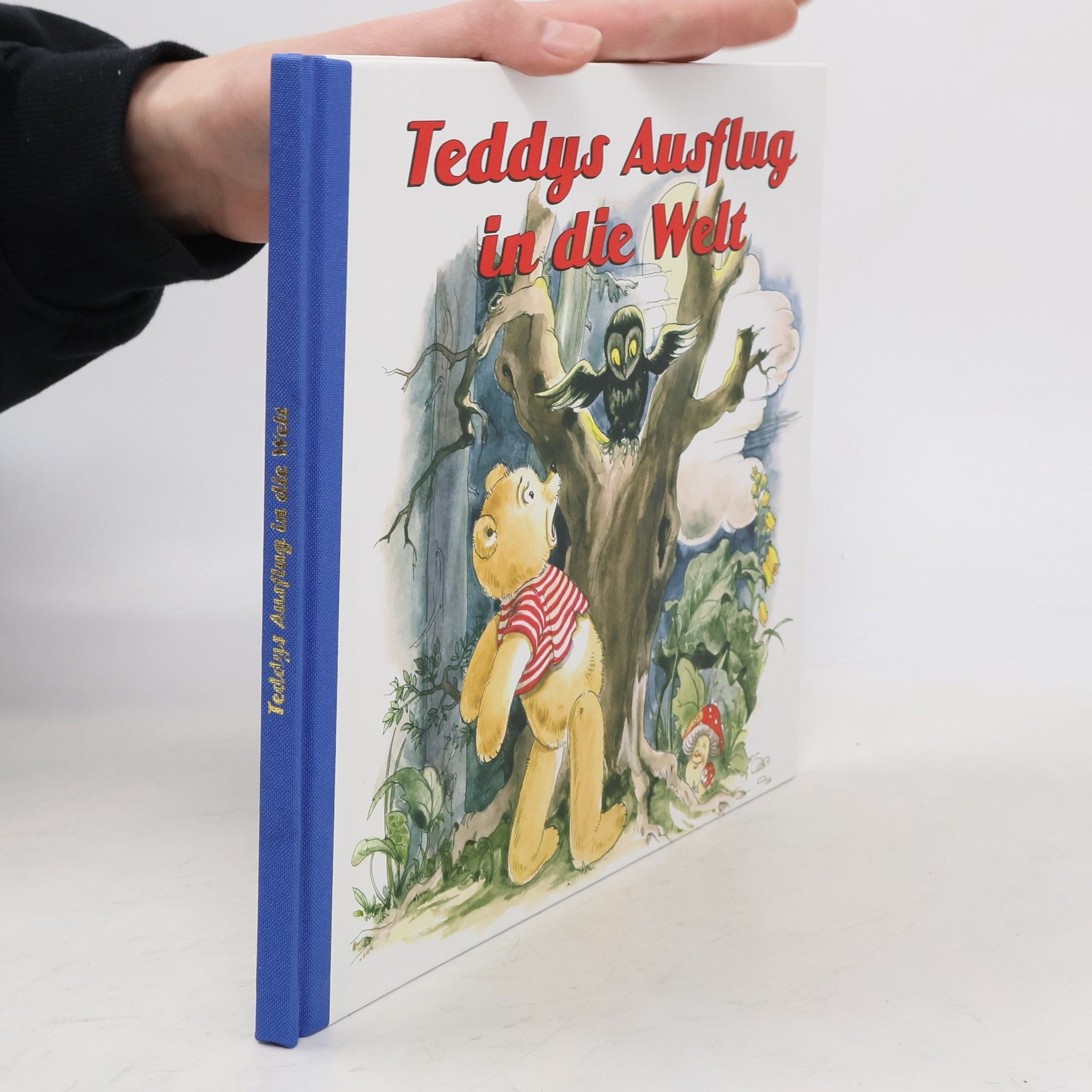 Autorenkollektiv Teddys Ausflug in die Welt