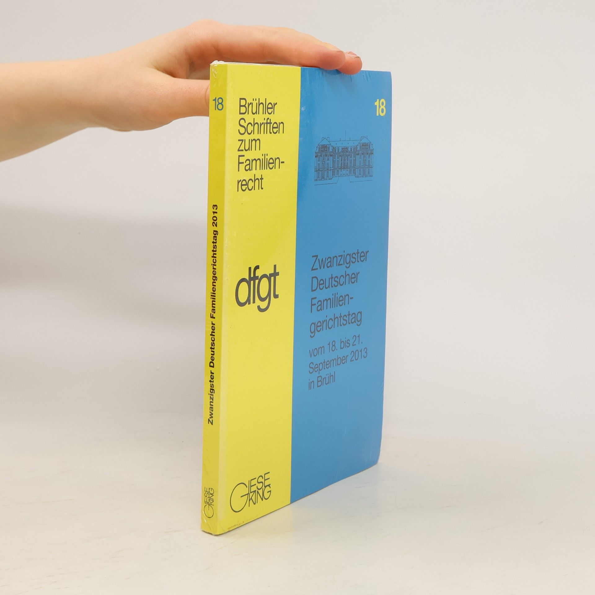 Autorenkollektiv Zwanzigster Deutscher Familiengerichtstag