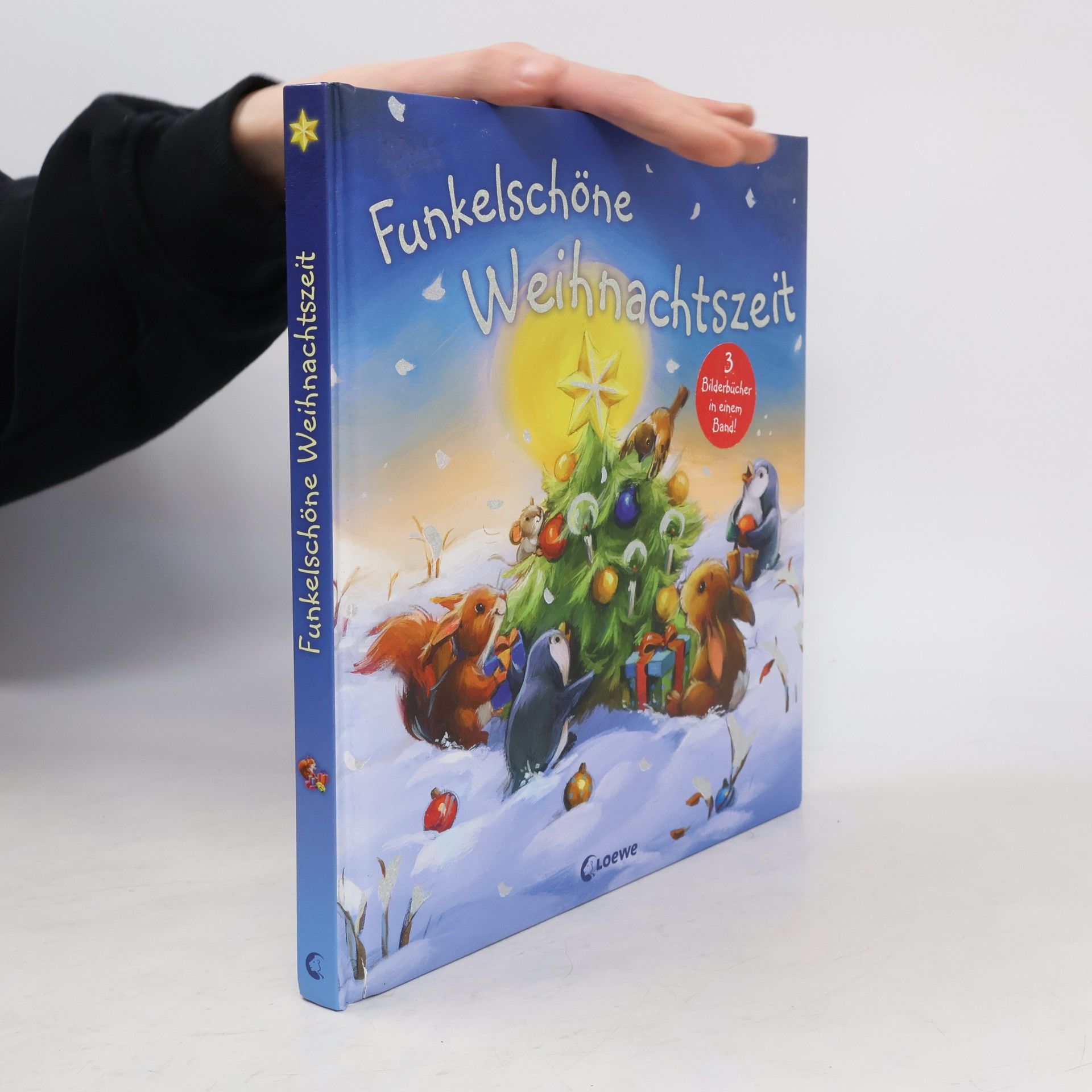 Polona Lovsin Funkelschöne Weihnachtszeit