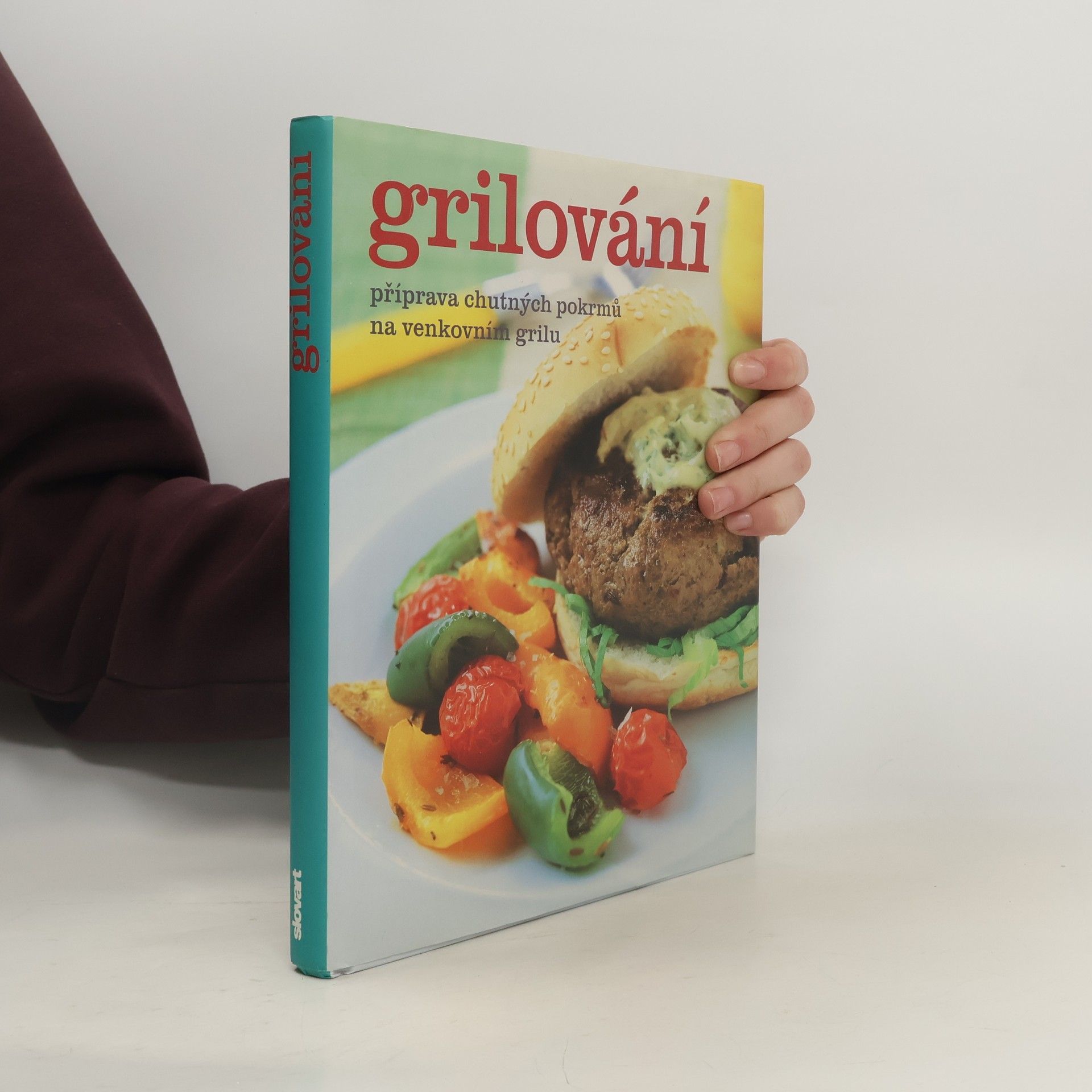 Collectif d'auteurs Grilování. Příprava chutných pokrmů na venkovním grilu