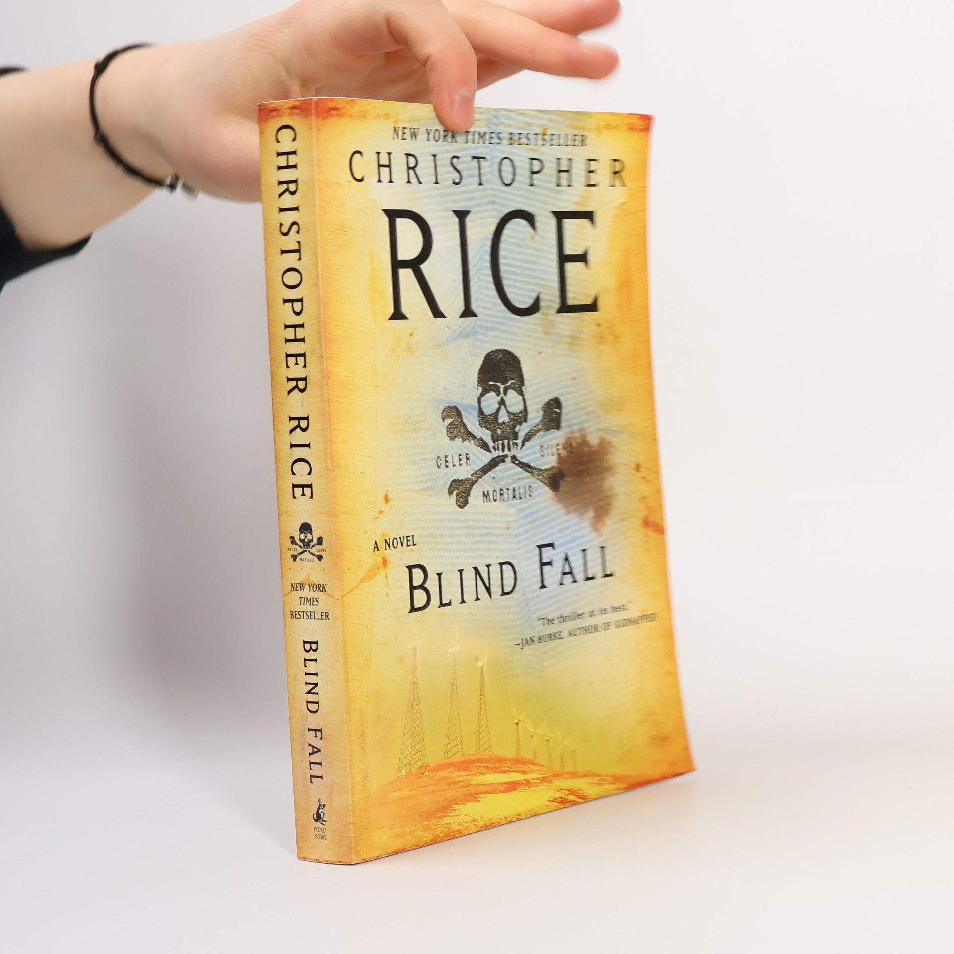 Christopher Rice Blind Fall