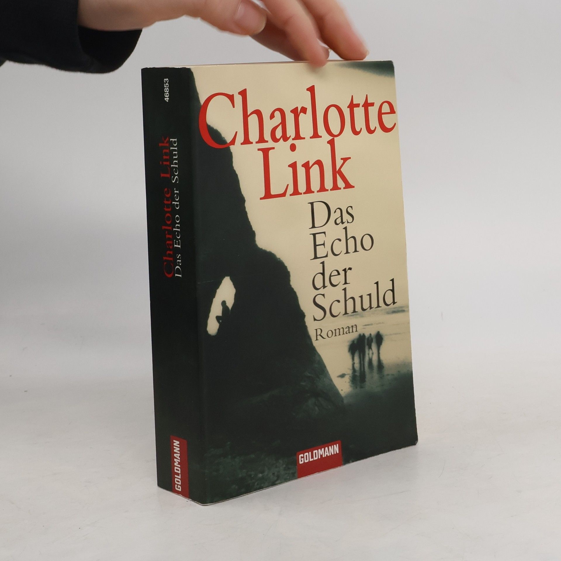 Charlotte Link Das Echo der Schuld