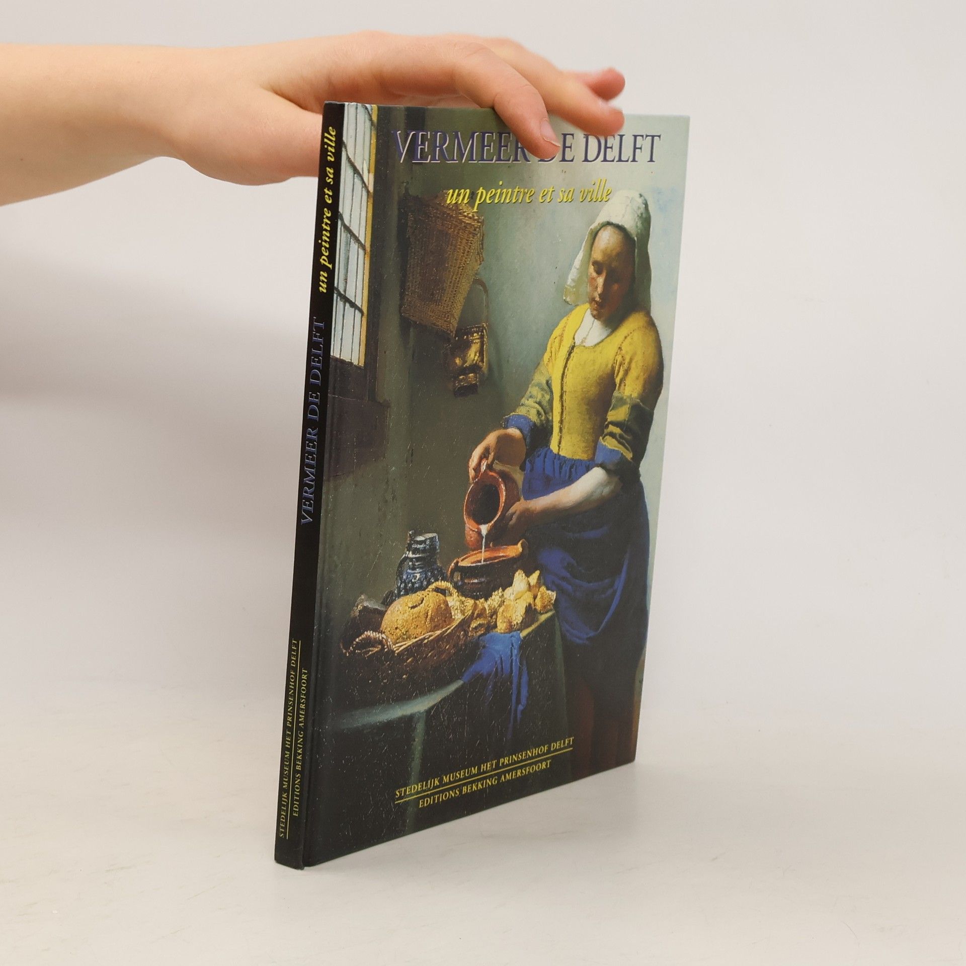 Michel P. van Maarseveen Vermeer de Delft un peintre et sa ville