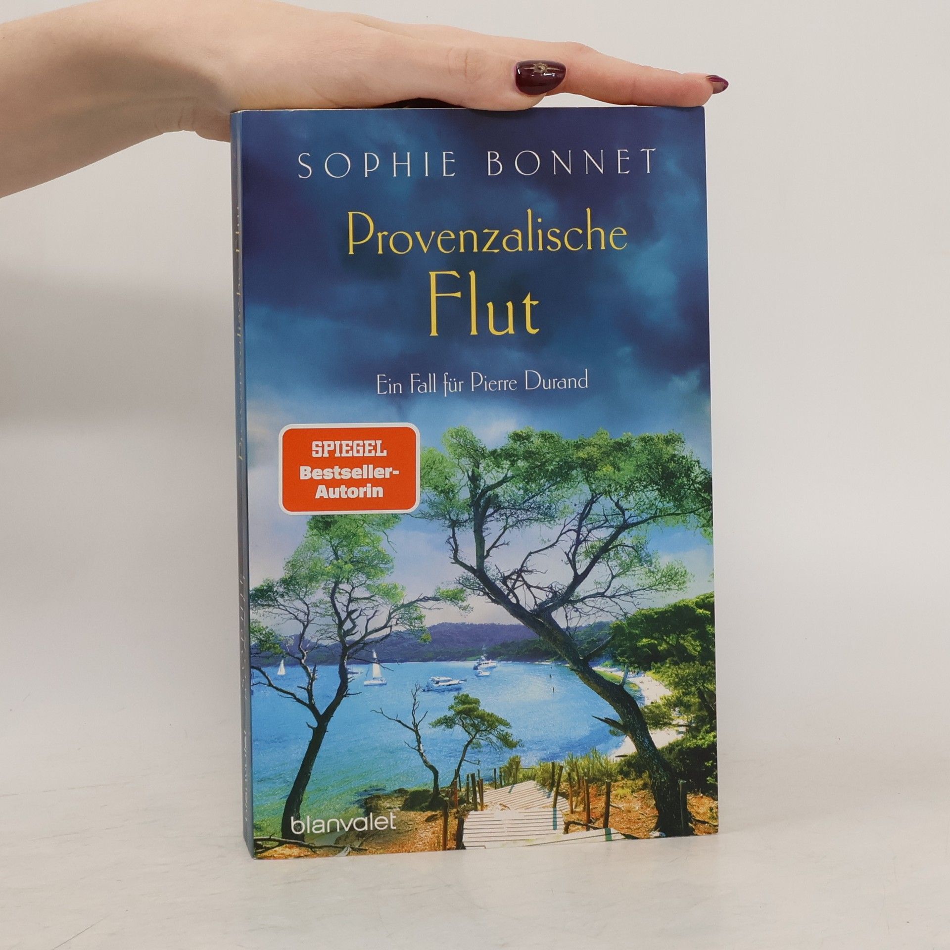 Sophie Bonnet Provenzalische Flut