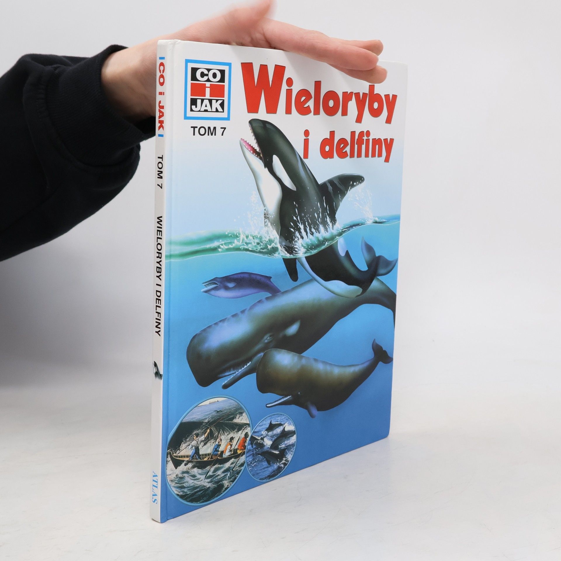 Petra Deimer-Schütte Co i jak - 7: Wieloryby i delfiny