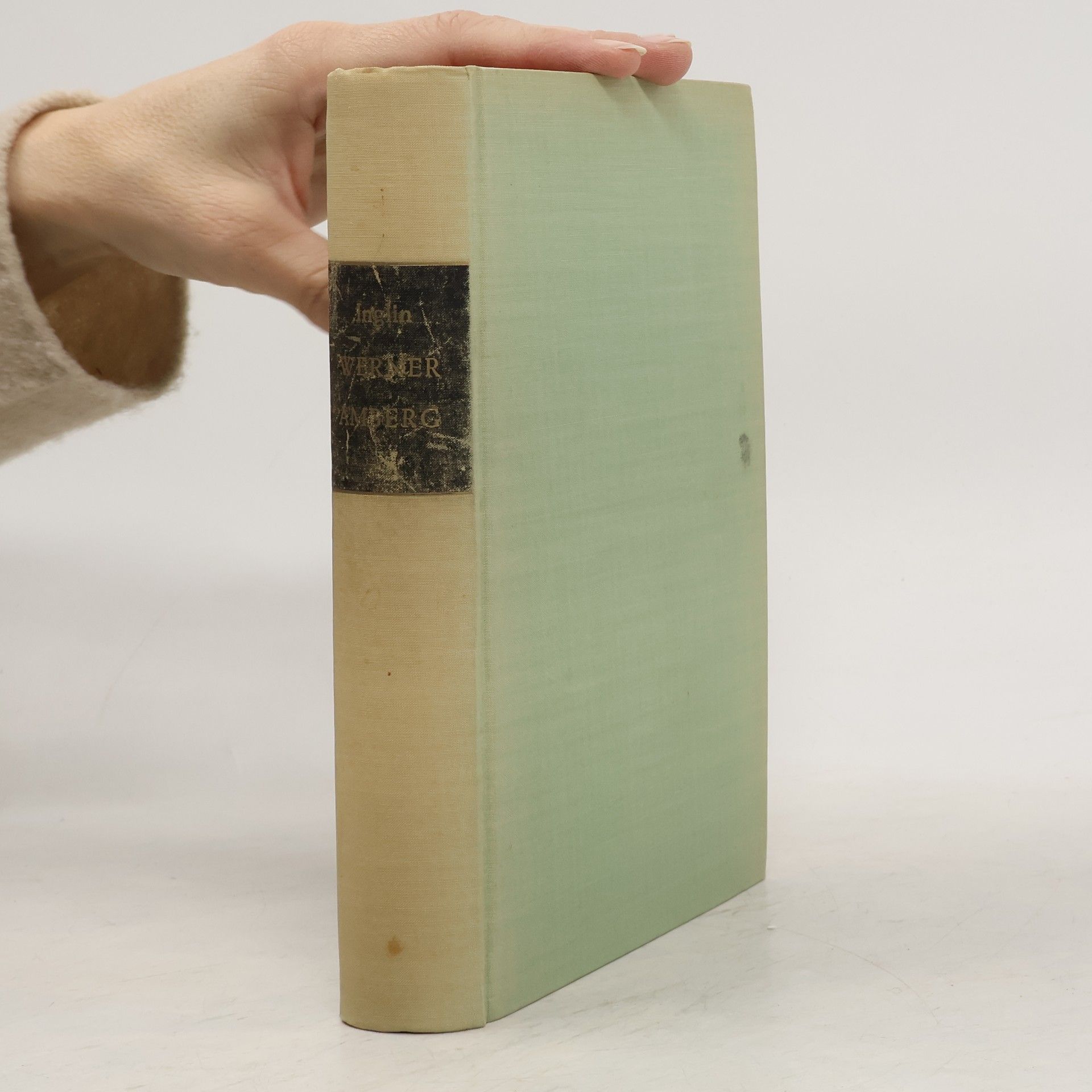 Meinrad Inglin Werner Amberg. Die Geschichte seiner Jugend