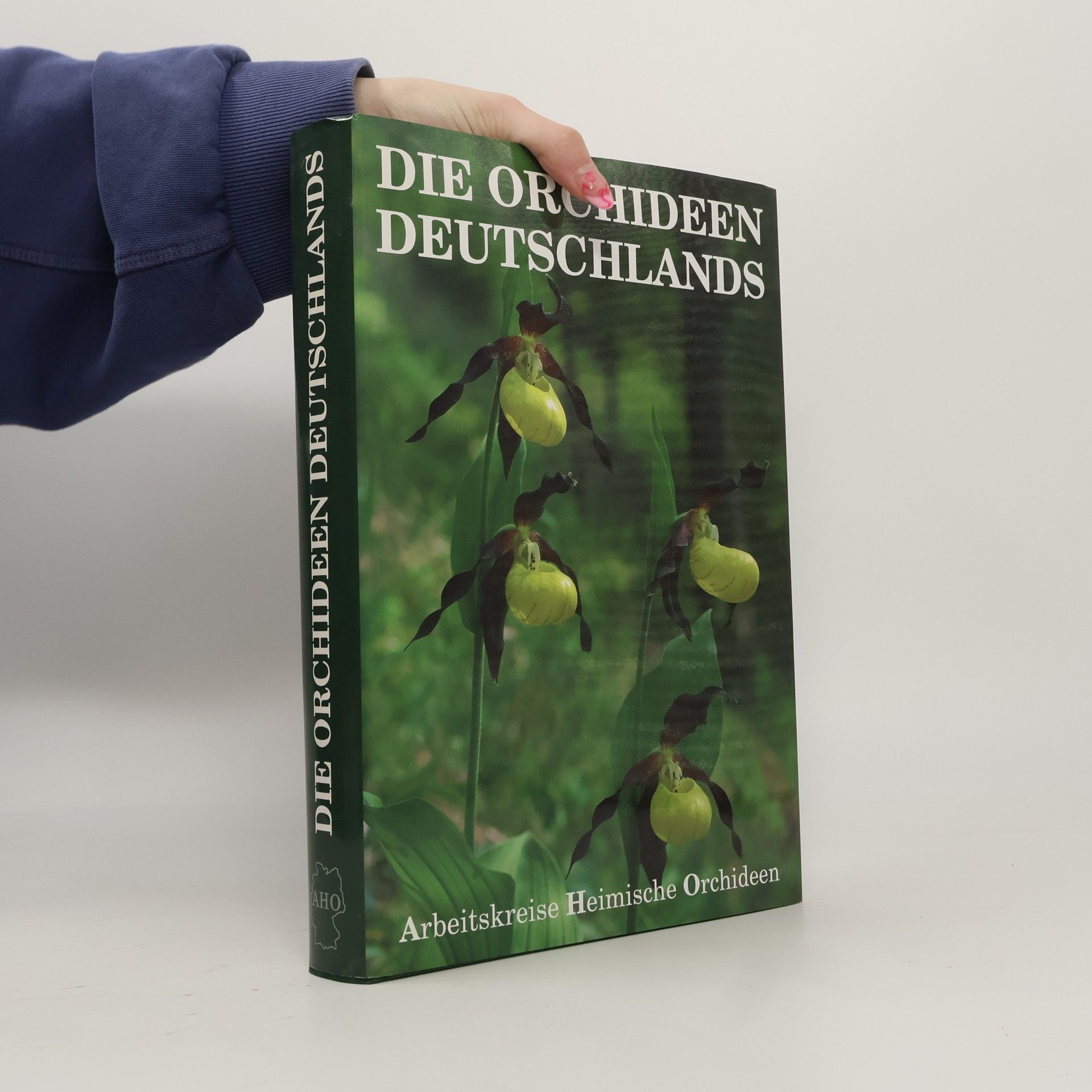 Arbeitskreise Heimische Orchideen Die Orchideen Deutschlands