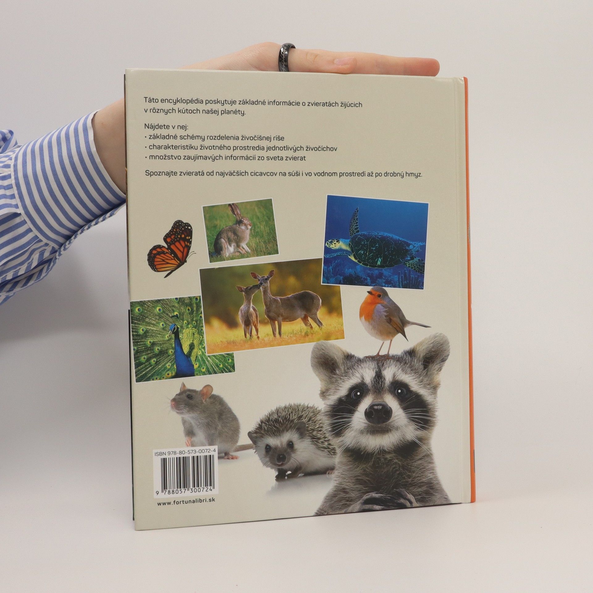 Autorenkollektiv Encyklopédia zvierat