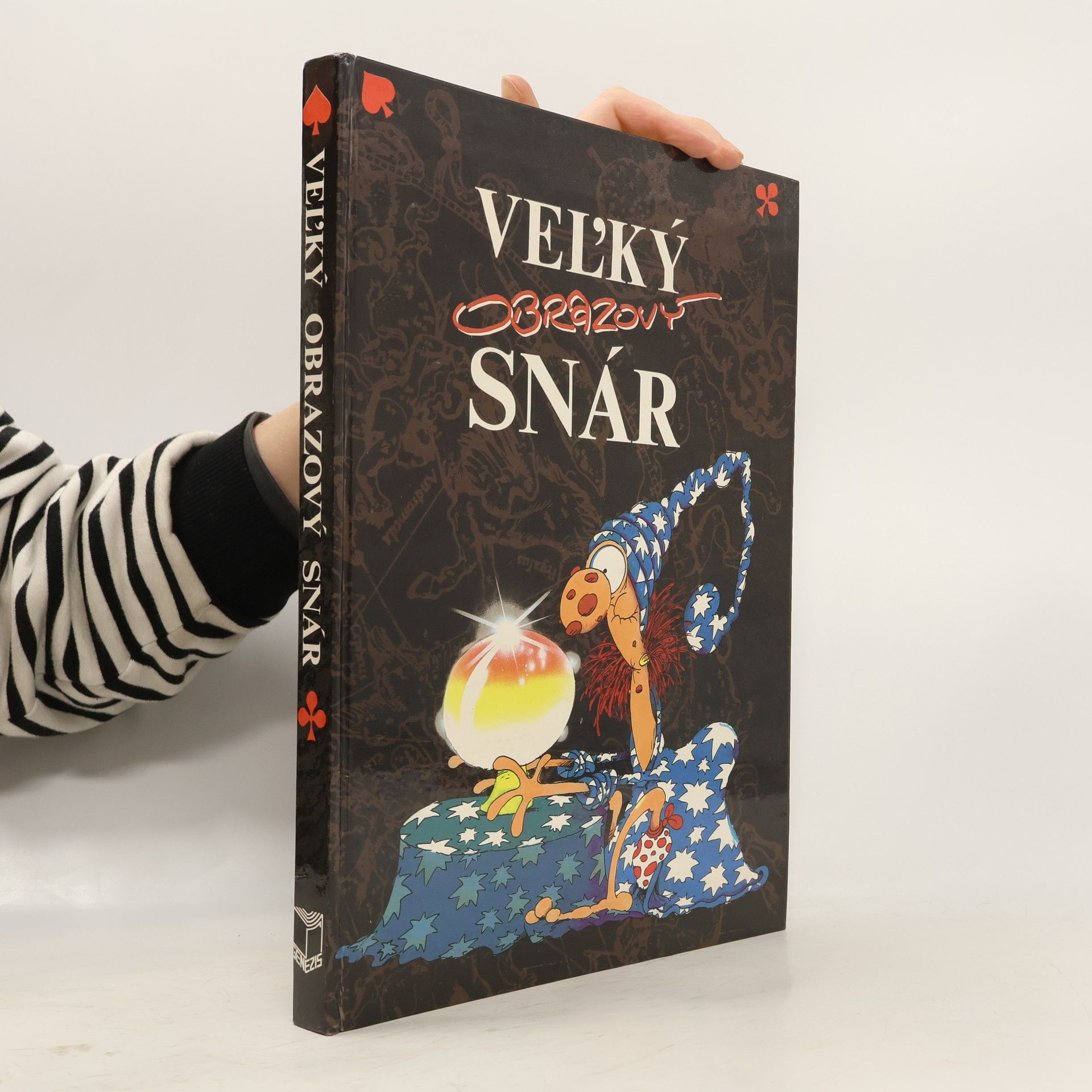 Autorenkollektiv Veľký obrazový snár