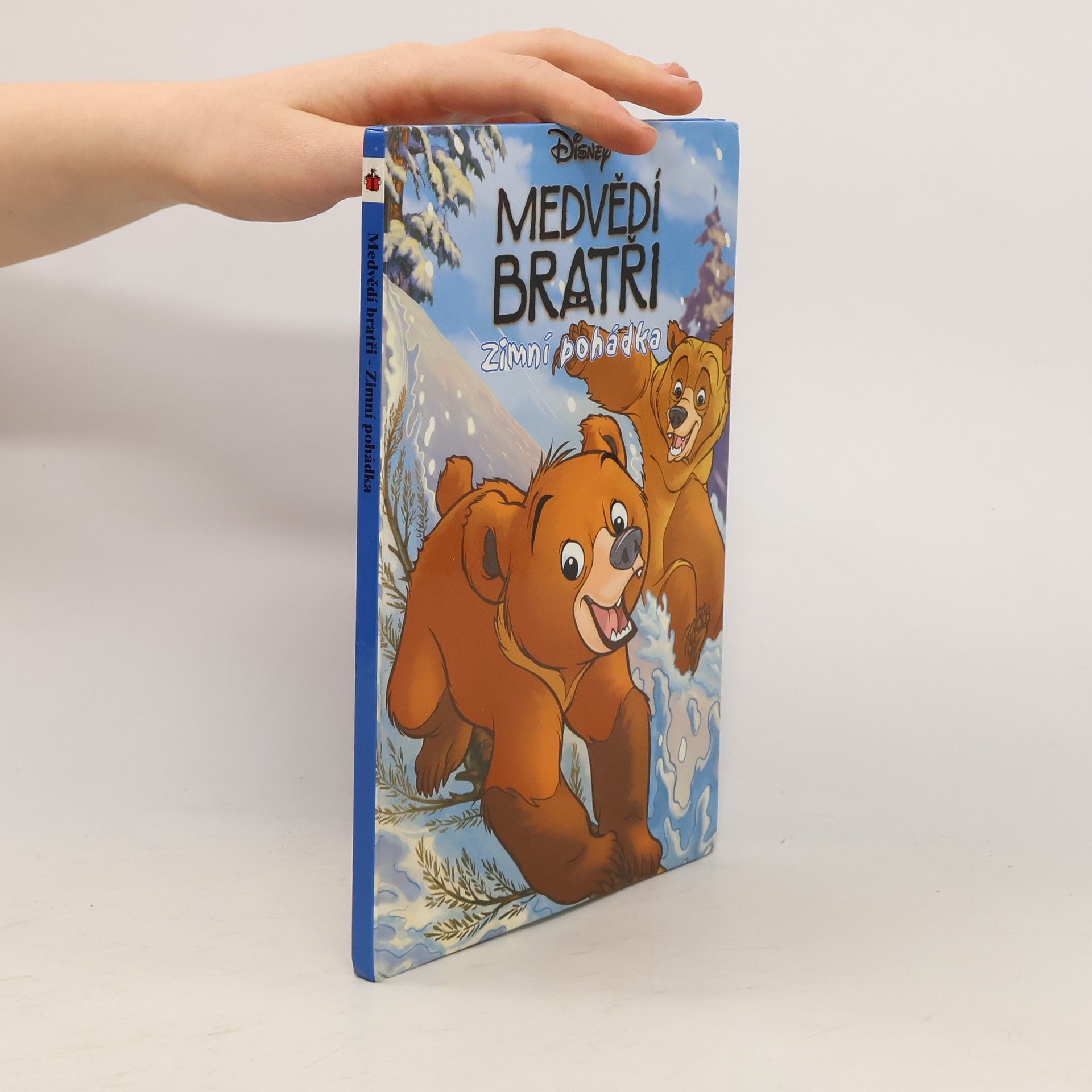 Walt Disney Medvědí bratři. Zimní pohádka