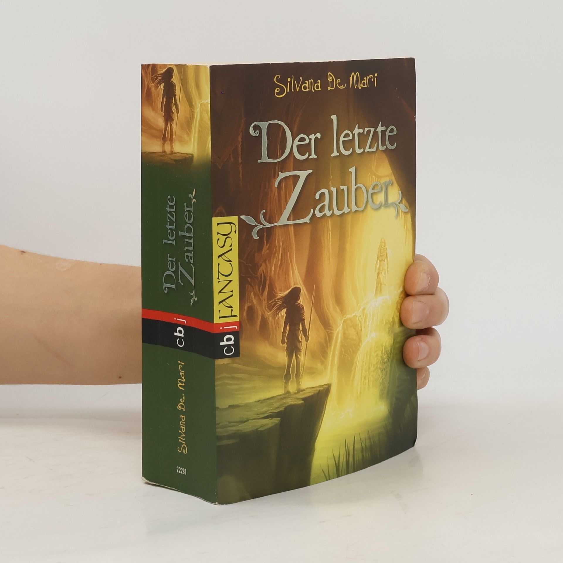 Silvana De Mari Der letzte Zauber