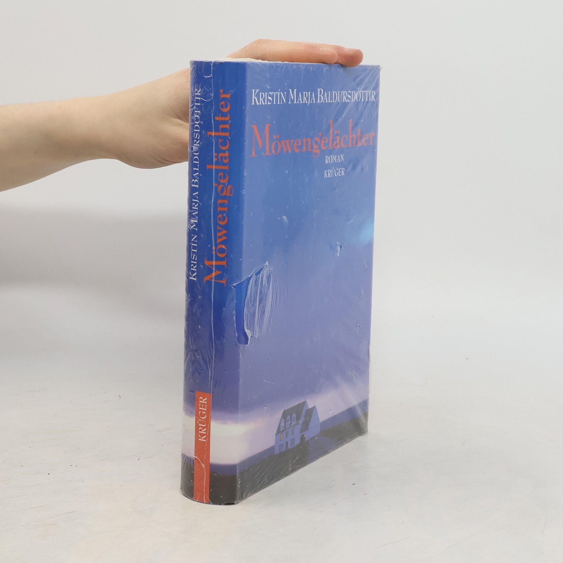 Kristín Marja Baldursdóttir Möwengelächter