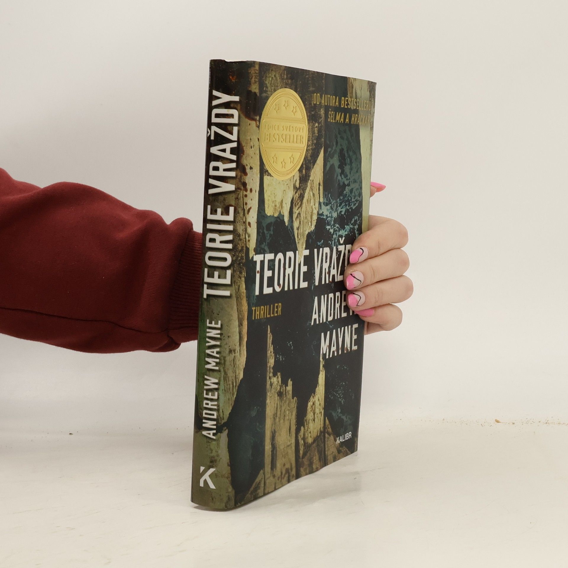 Andrew Mayne Teorie vraždy