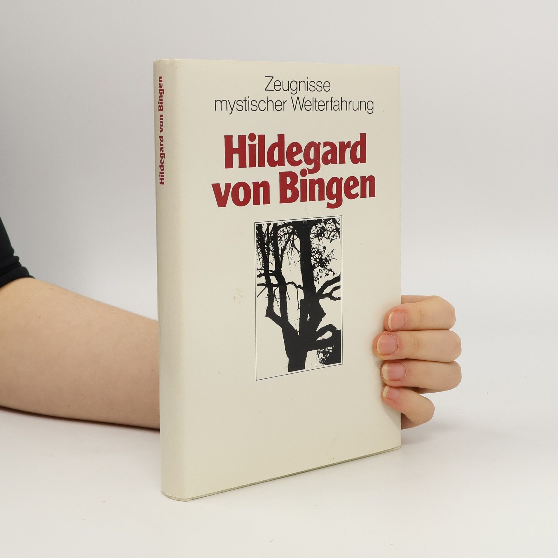 Kolektív autorov Zeugnisse mystischer Welterfahrung. Hildegard von Bingen