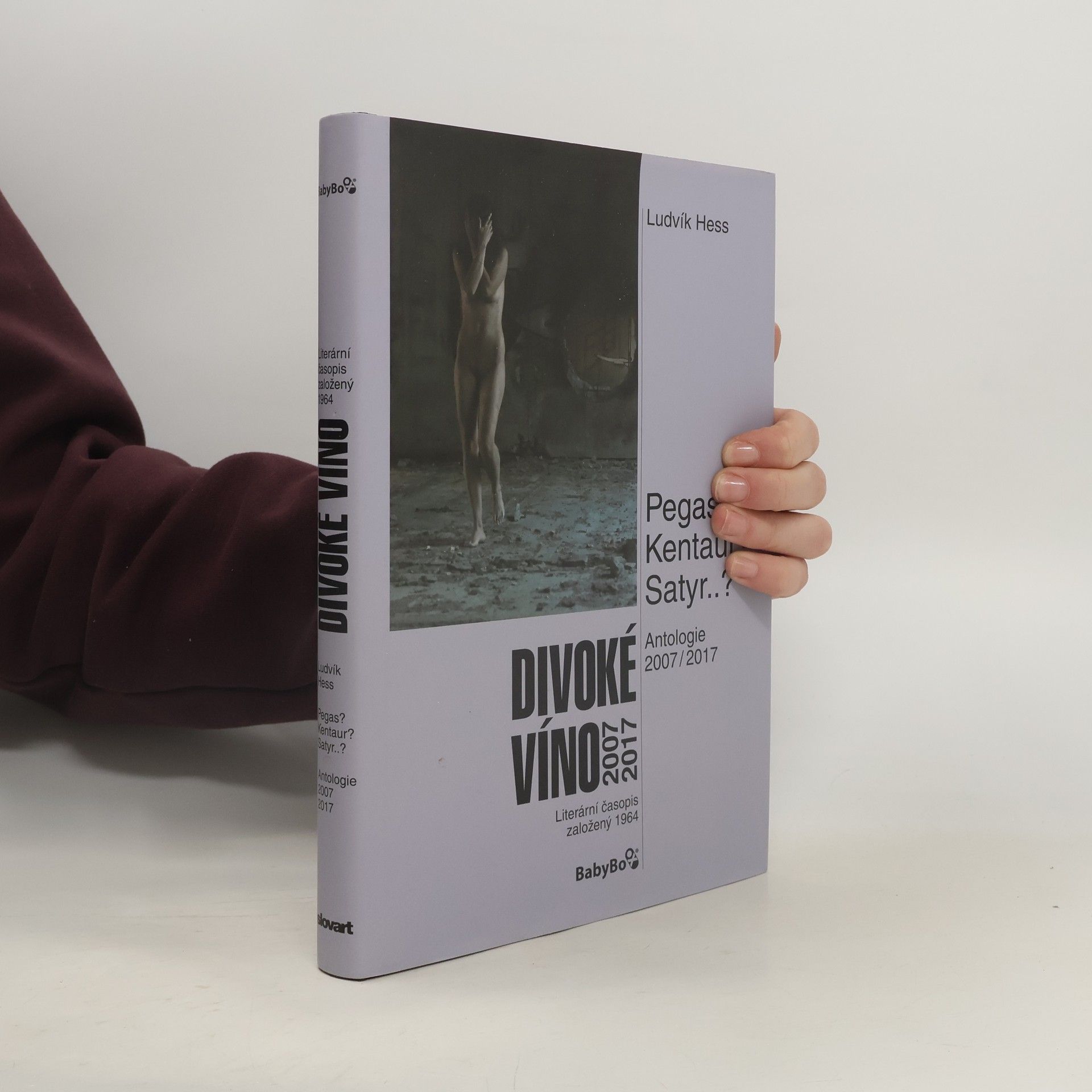 Kolektív autorov Divoké víno 2007-2017