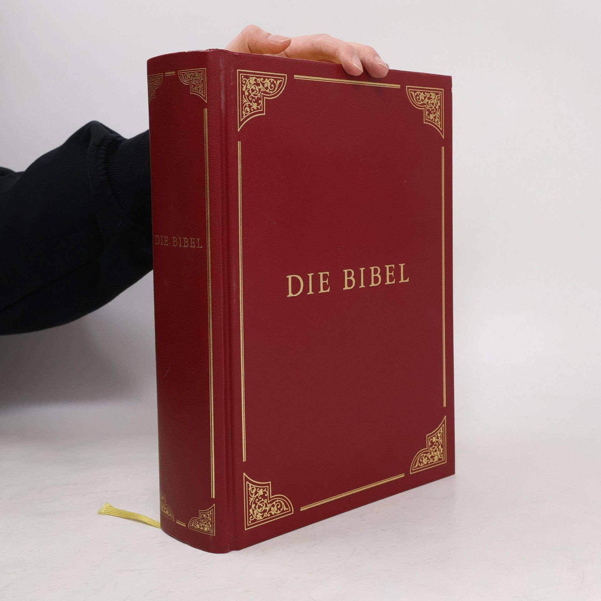 AA.VV. Die Bibel