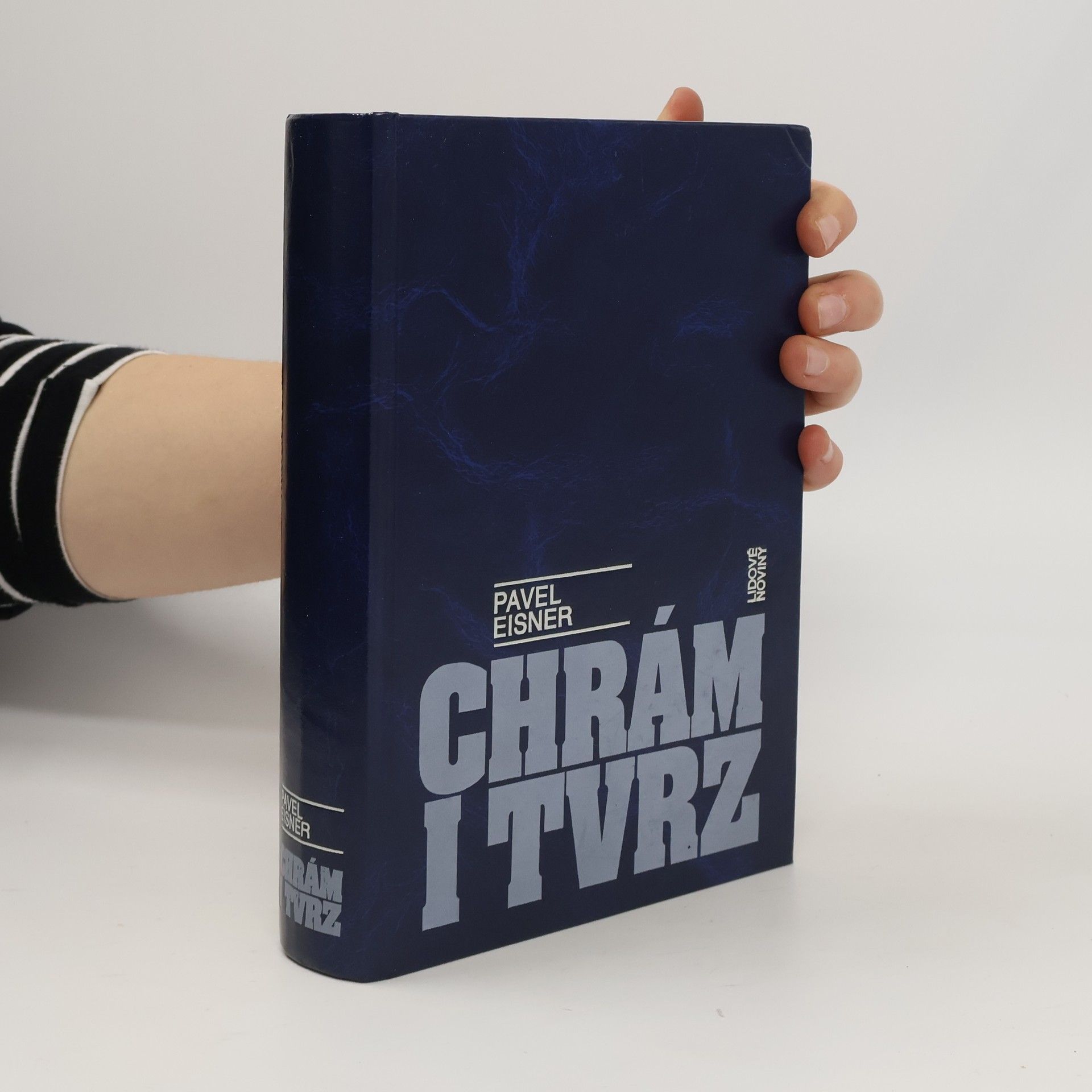 Chrám i tvrz. Kniha o češtině