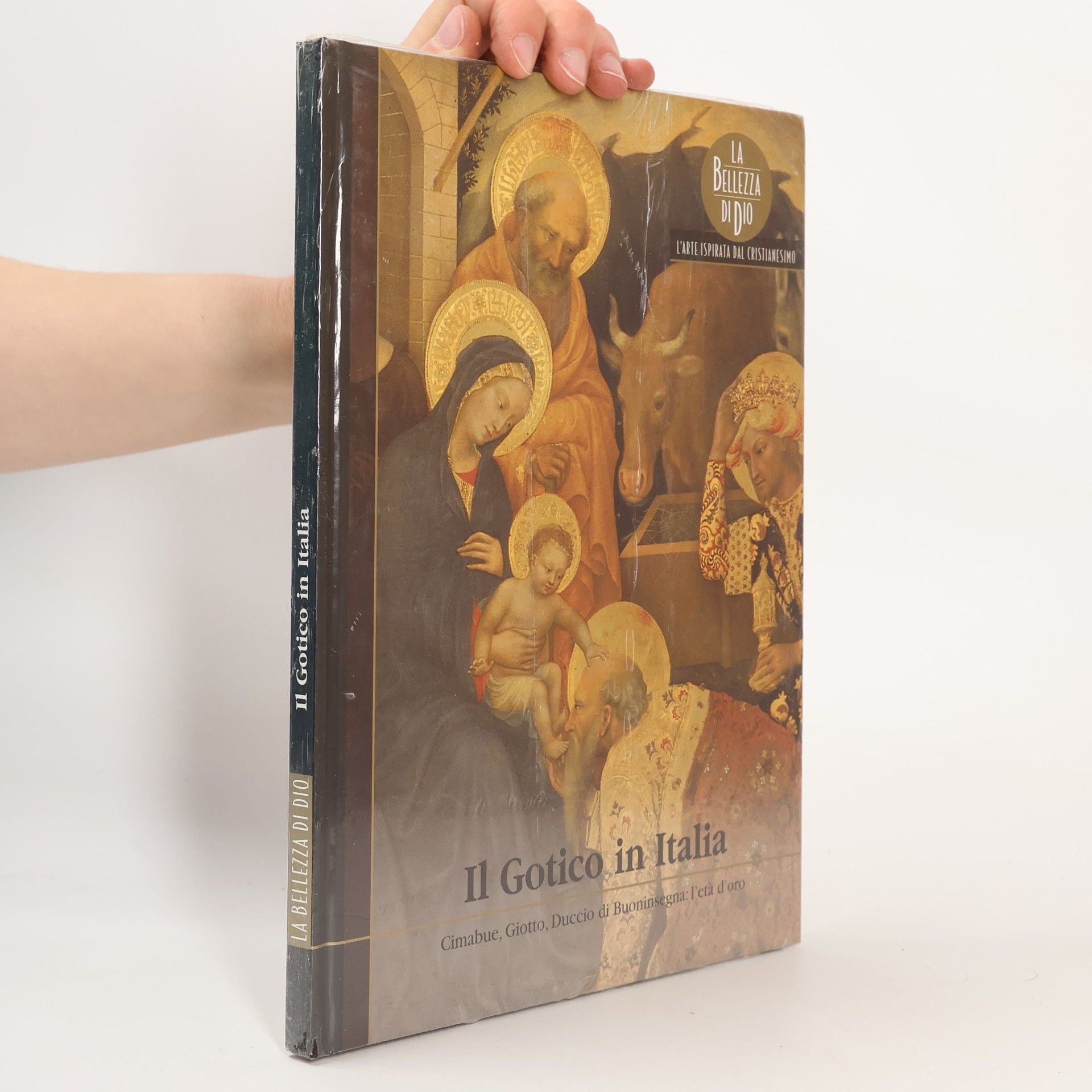 Autorenkollektiv Il Gotico in Italia