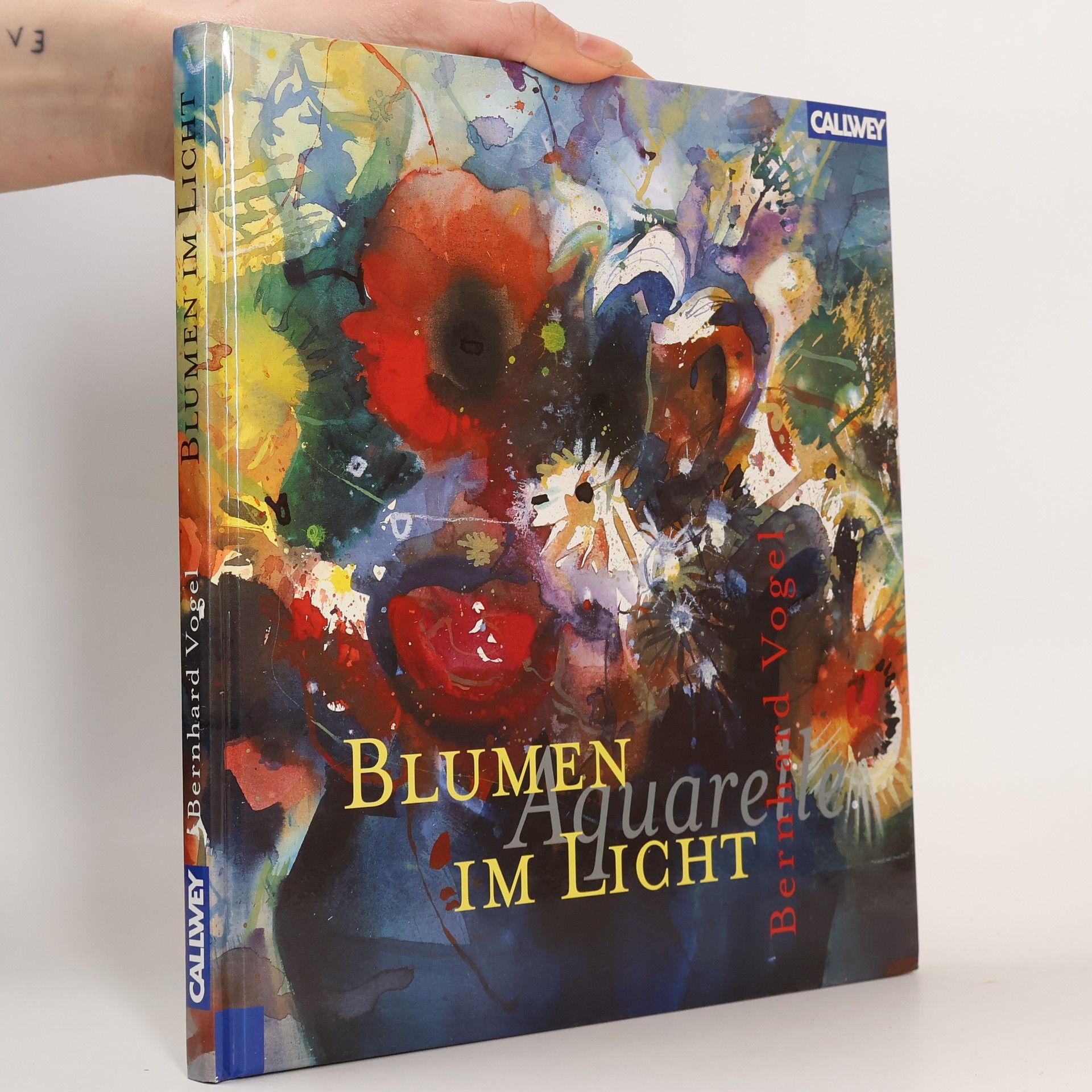 Bernhard Vogel Blumen im Licht