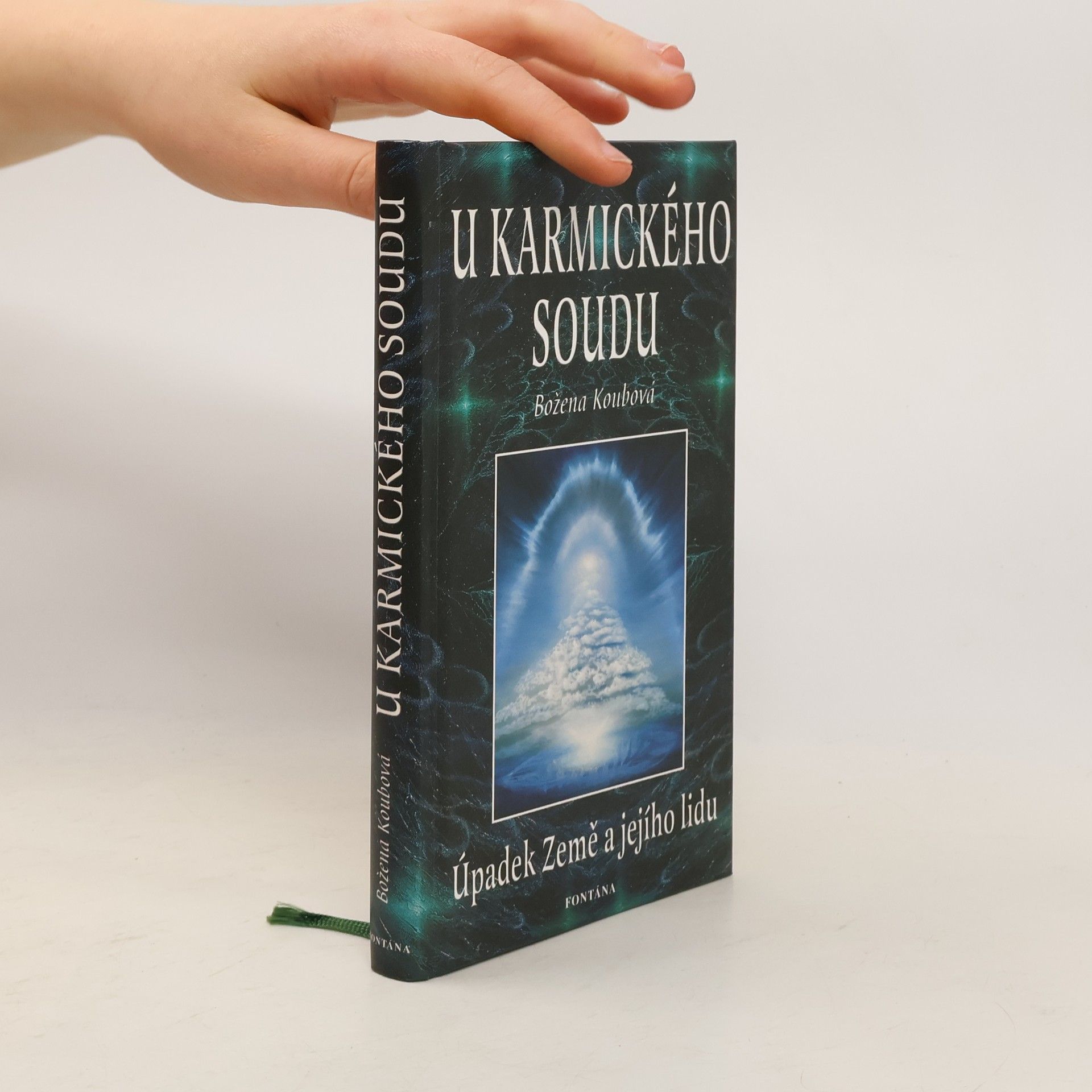 Koubová Božena U karmického soudu