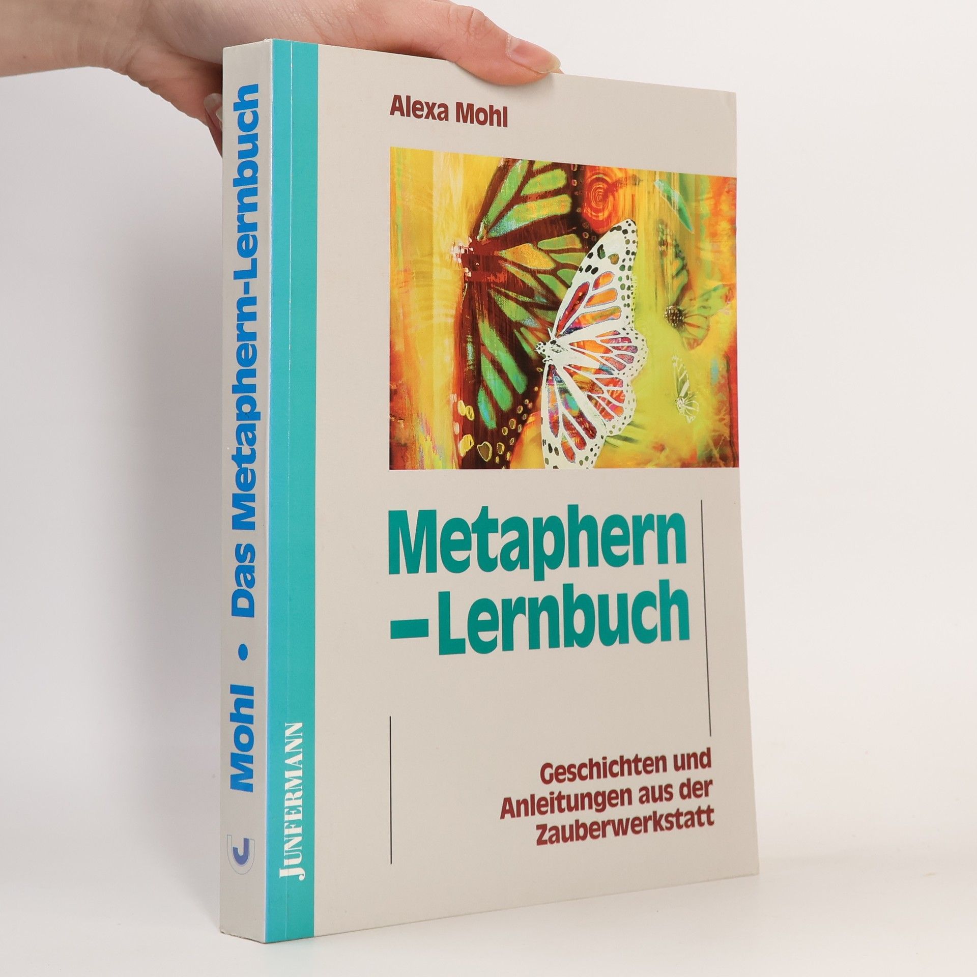 Das Metaphern-Lernbuch