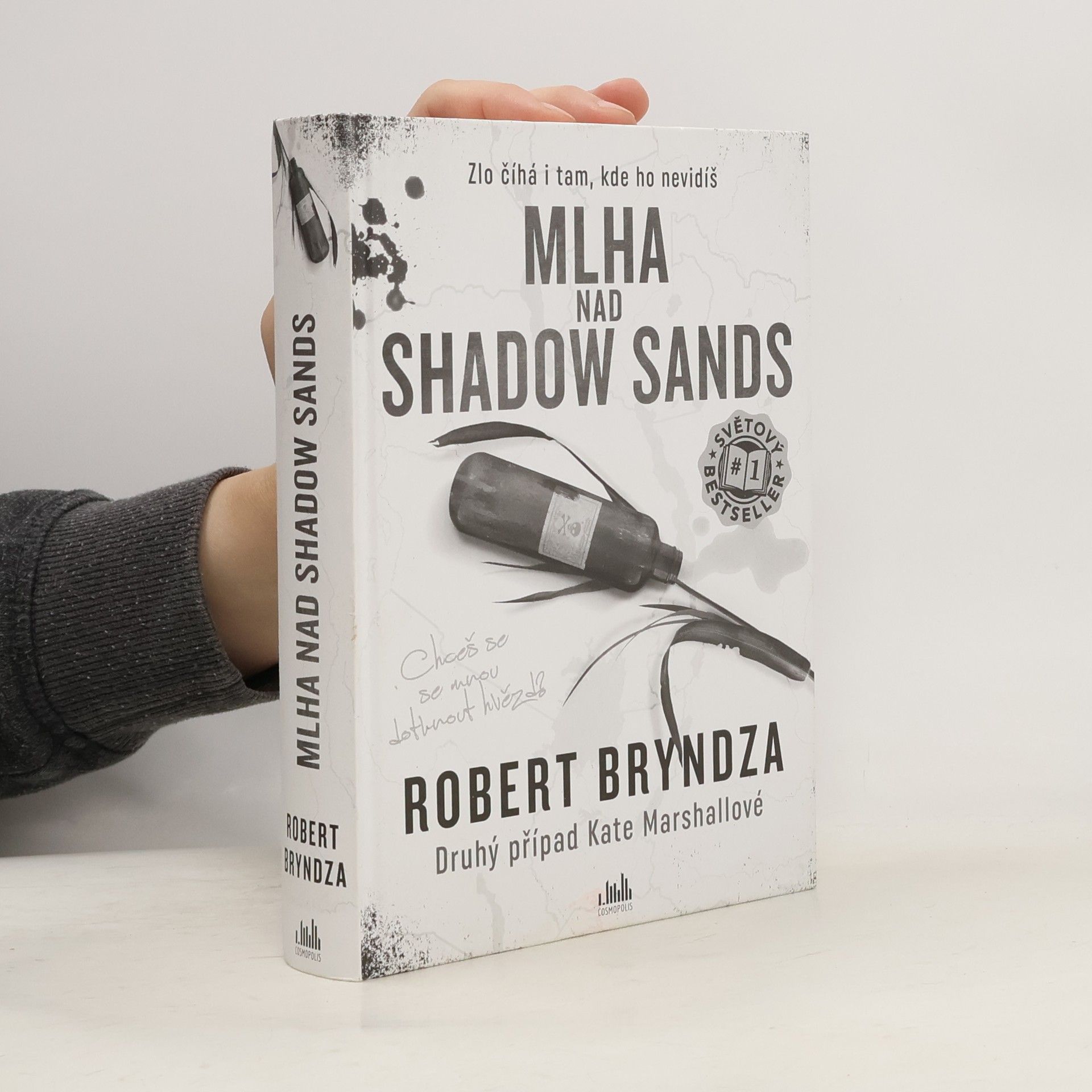 Robert Bryndza Mlha nad Shadow Sands