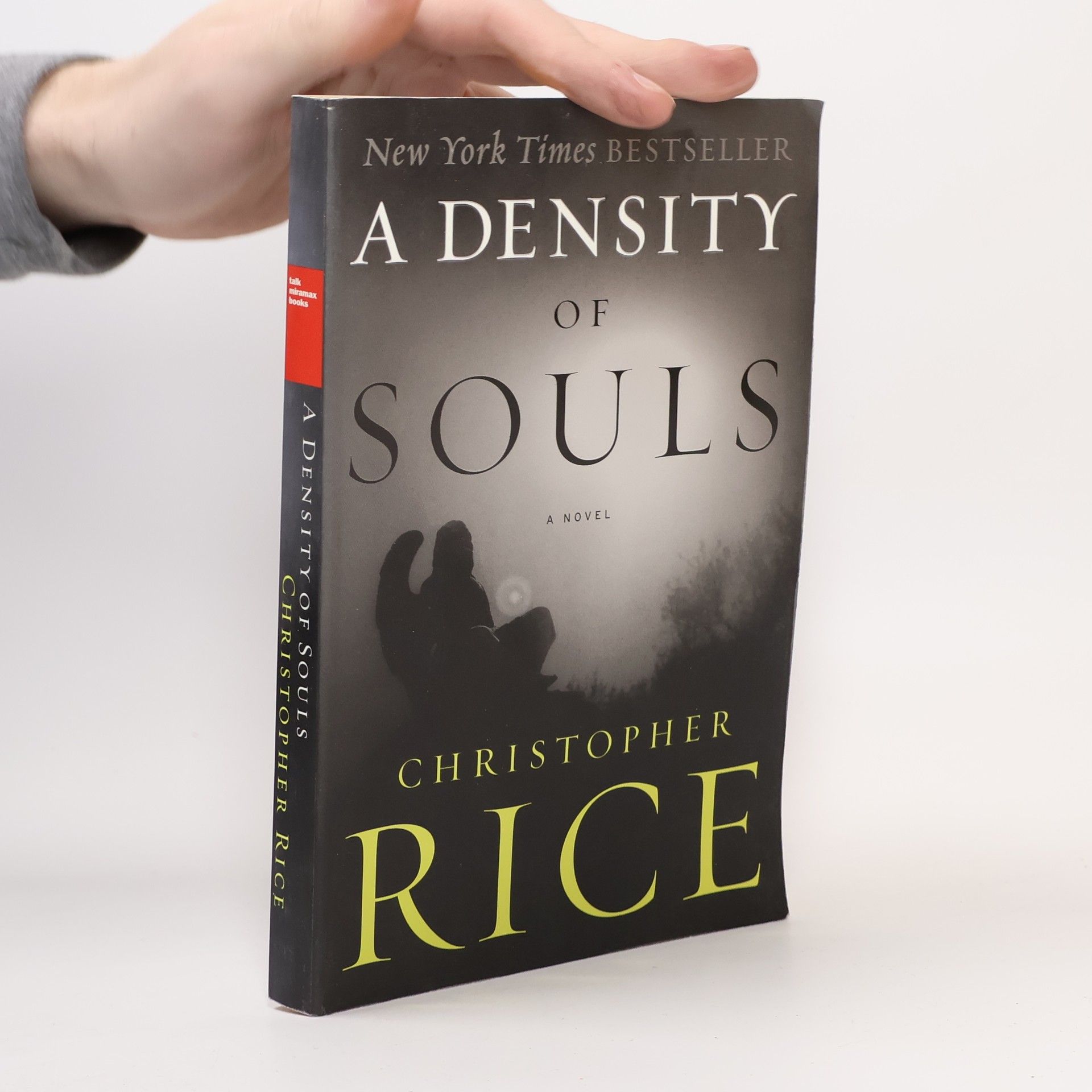 Christopher Rice A Density of Souls