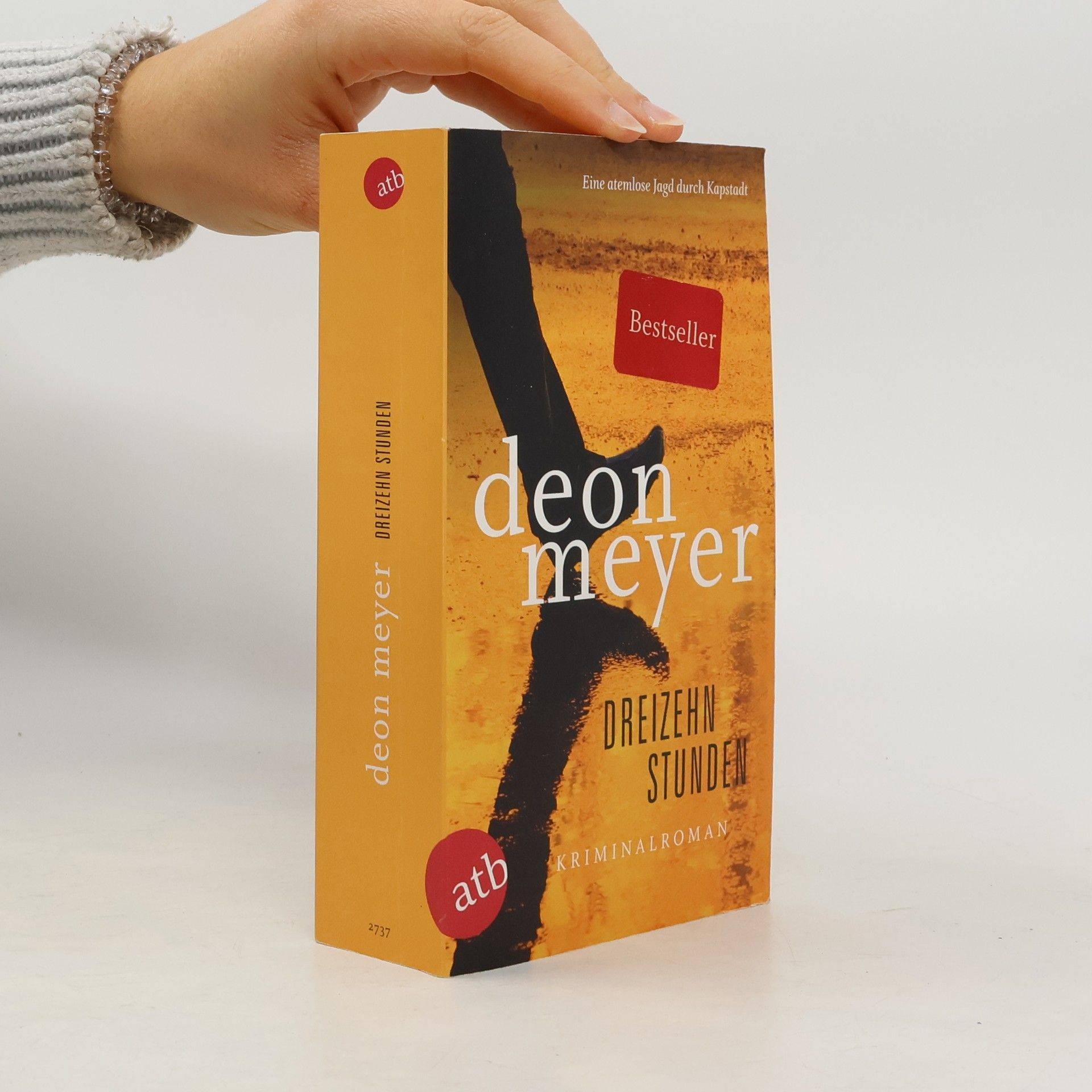 Deon Meyer Dreizehn Stunden