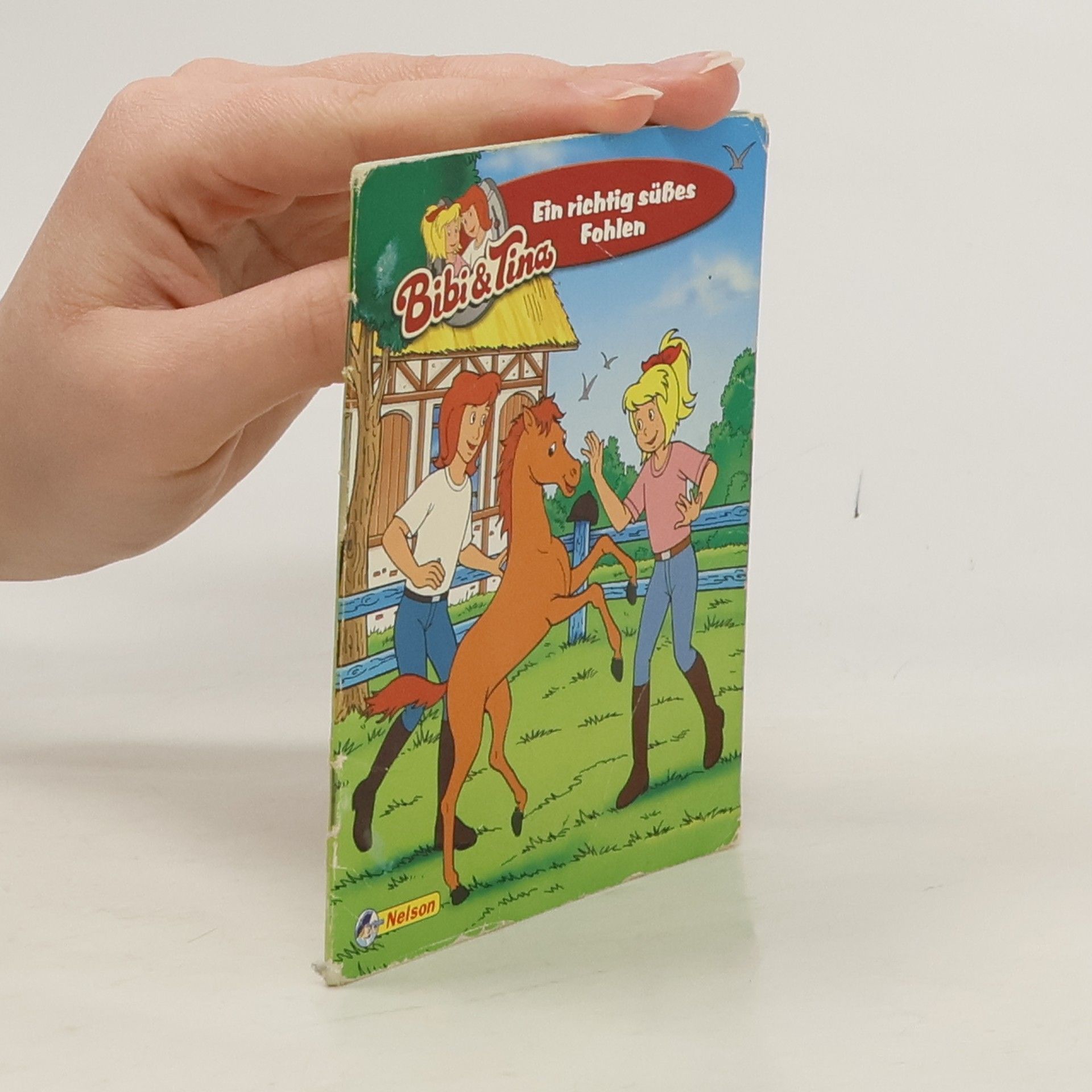 Autorenkollektiv Bibi & Tina - Ein Kälbchen sucht Freunde