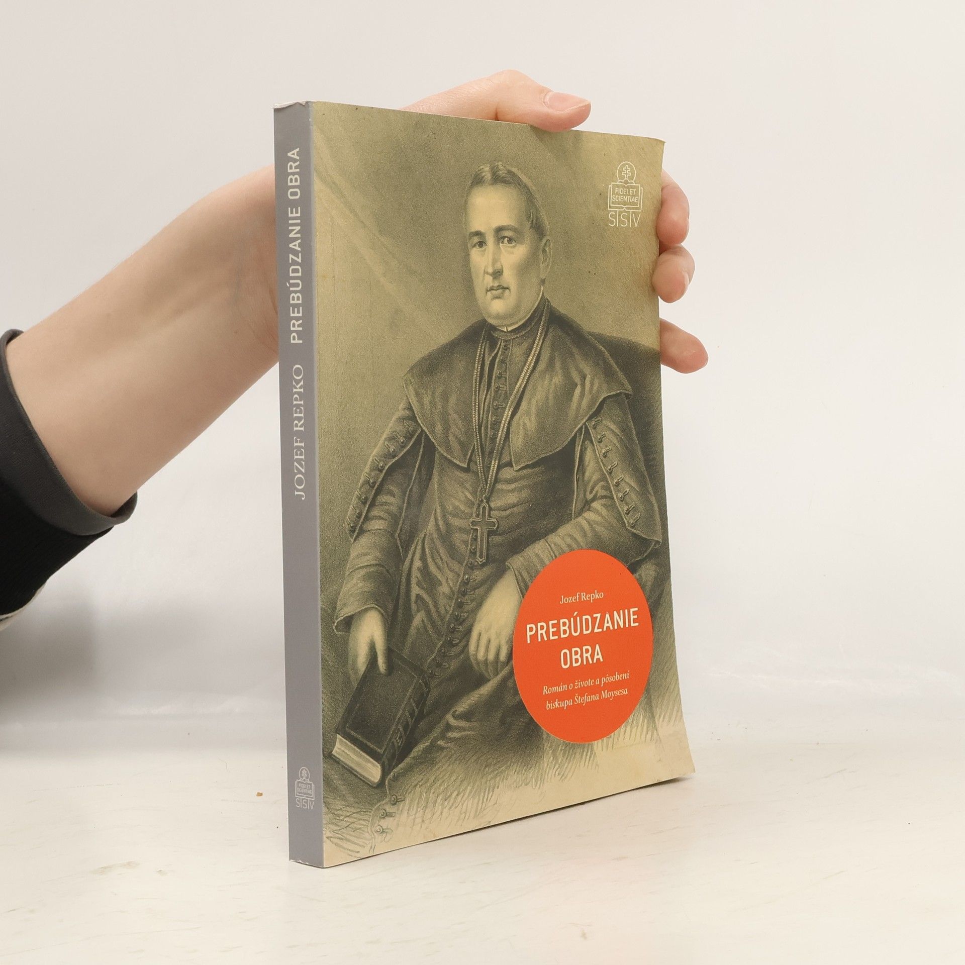 Jozef Repko Prebúdzanie obra