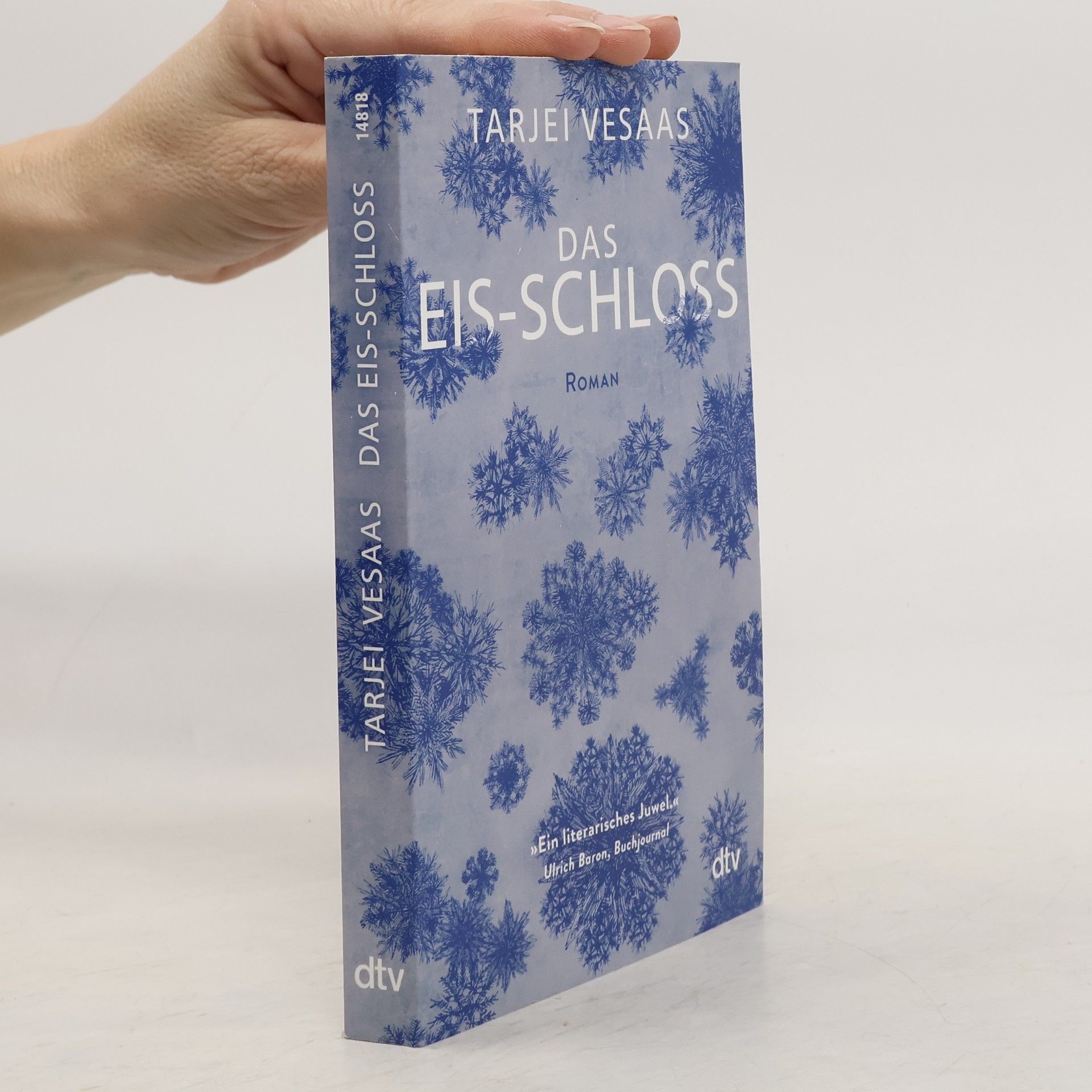 Tarjei Vesaas Das Eis-Schloss