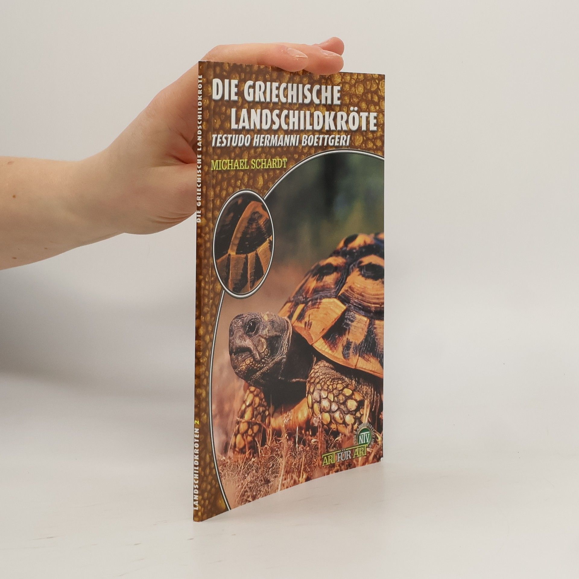 Die griechische Landschildkröte