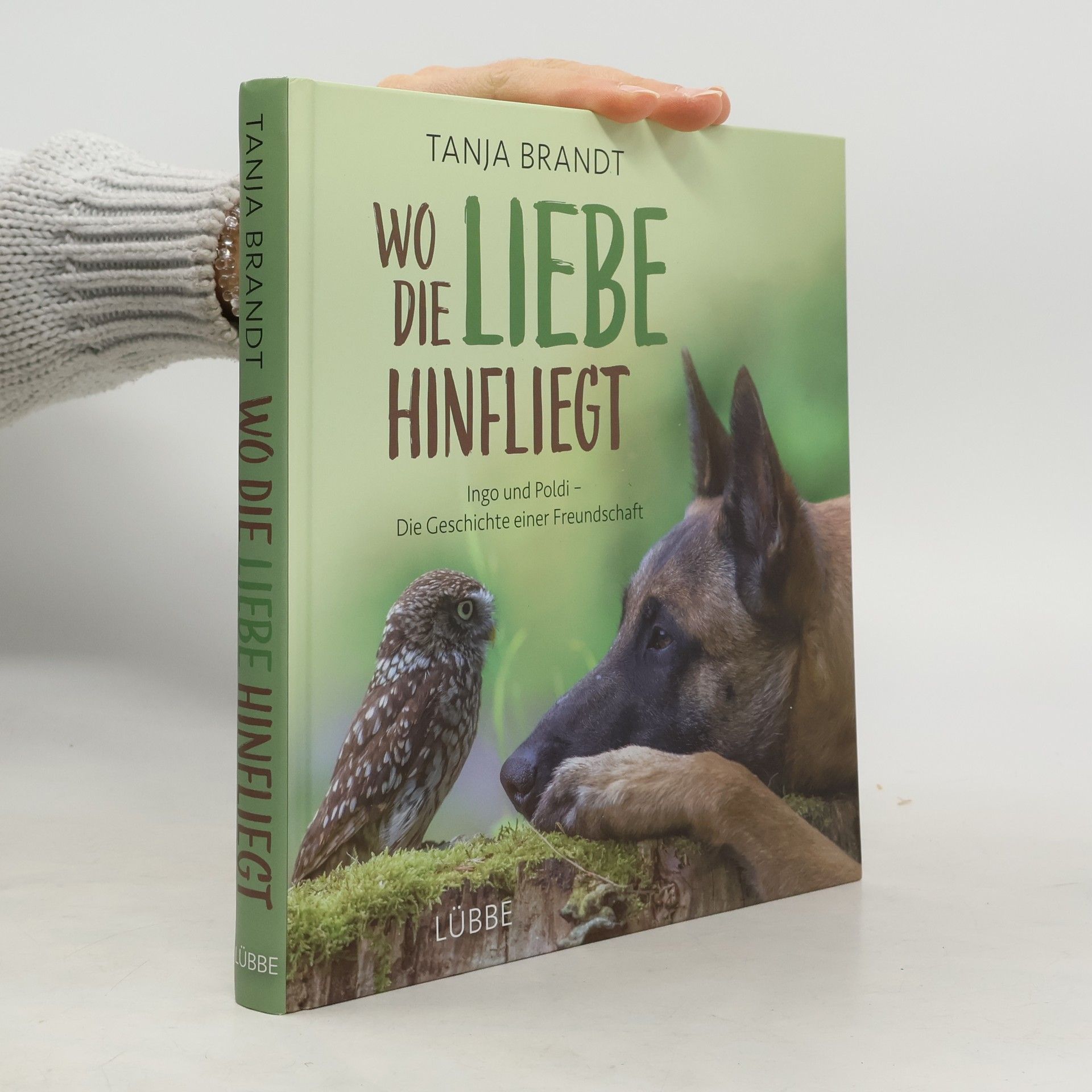 Tanja Brandt Wo die Liebe hinfliegt