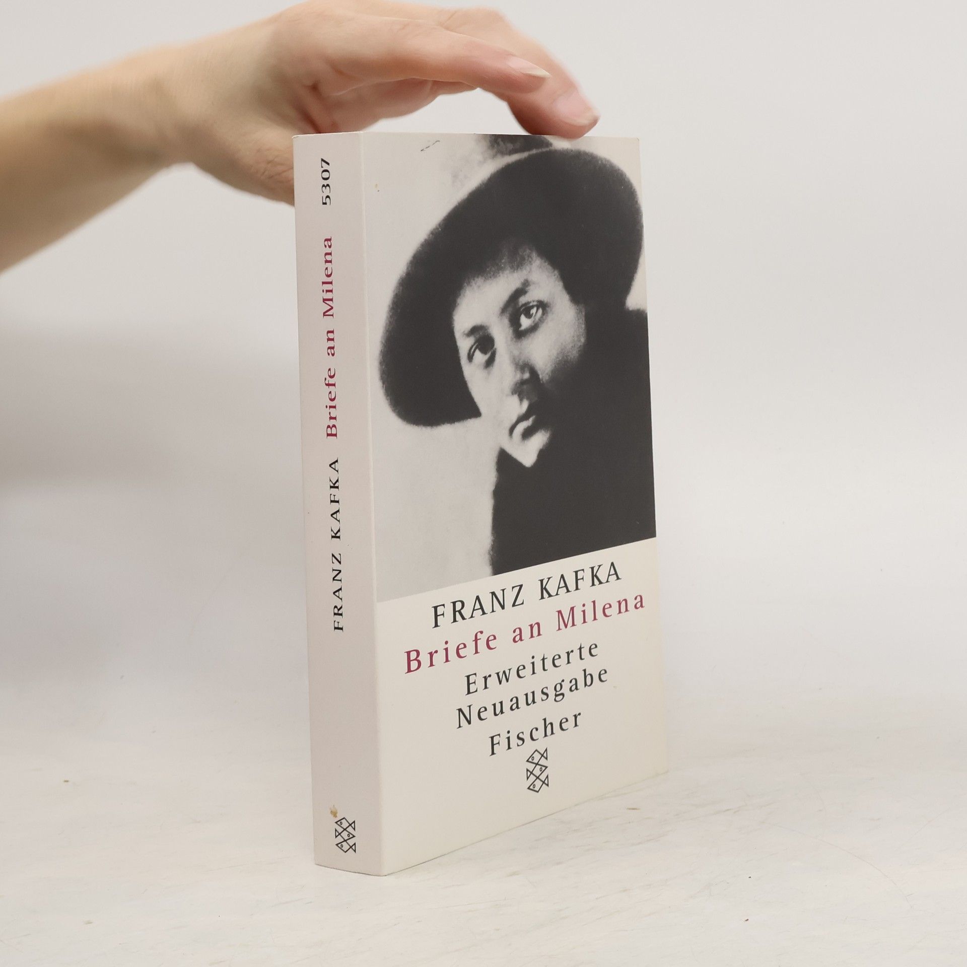 Franz Kafka Briefe an Milena