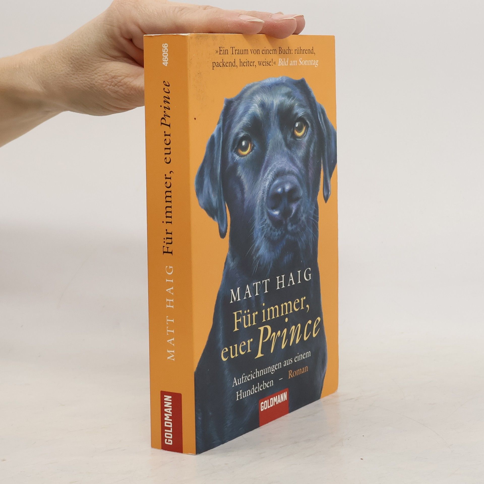 Matt Haig Für immer, euer Prince