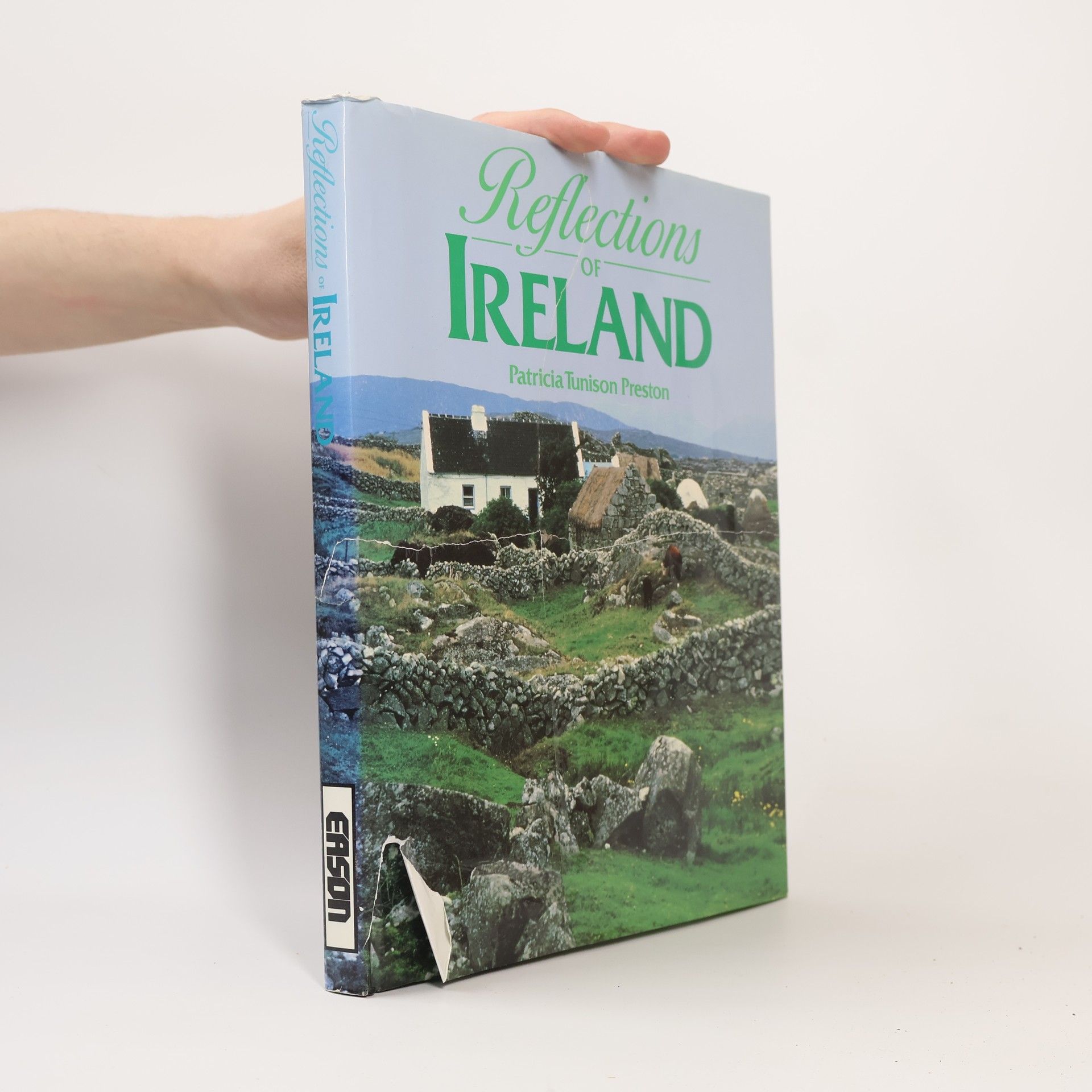 Patricia Tunison Preston Reflections of Ireland