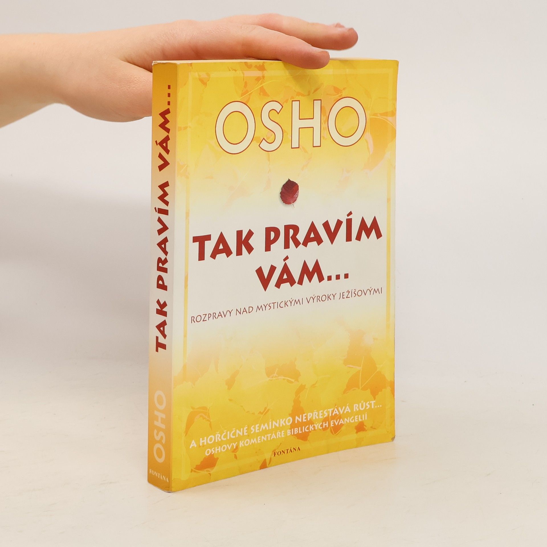 Ošó Tak pravím vám... Rozmluvy o mystických výrocích Ježíšových