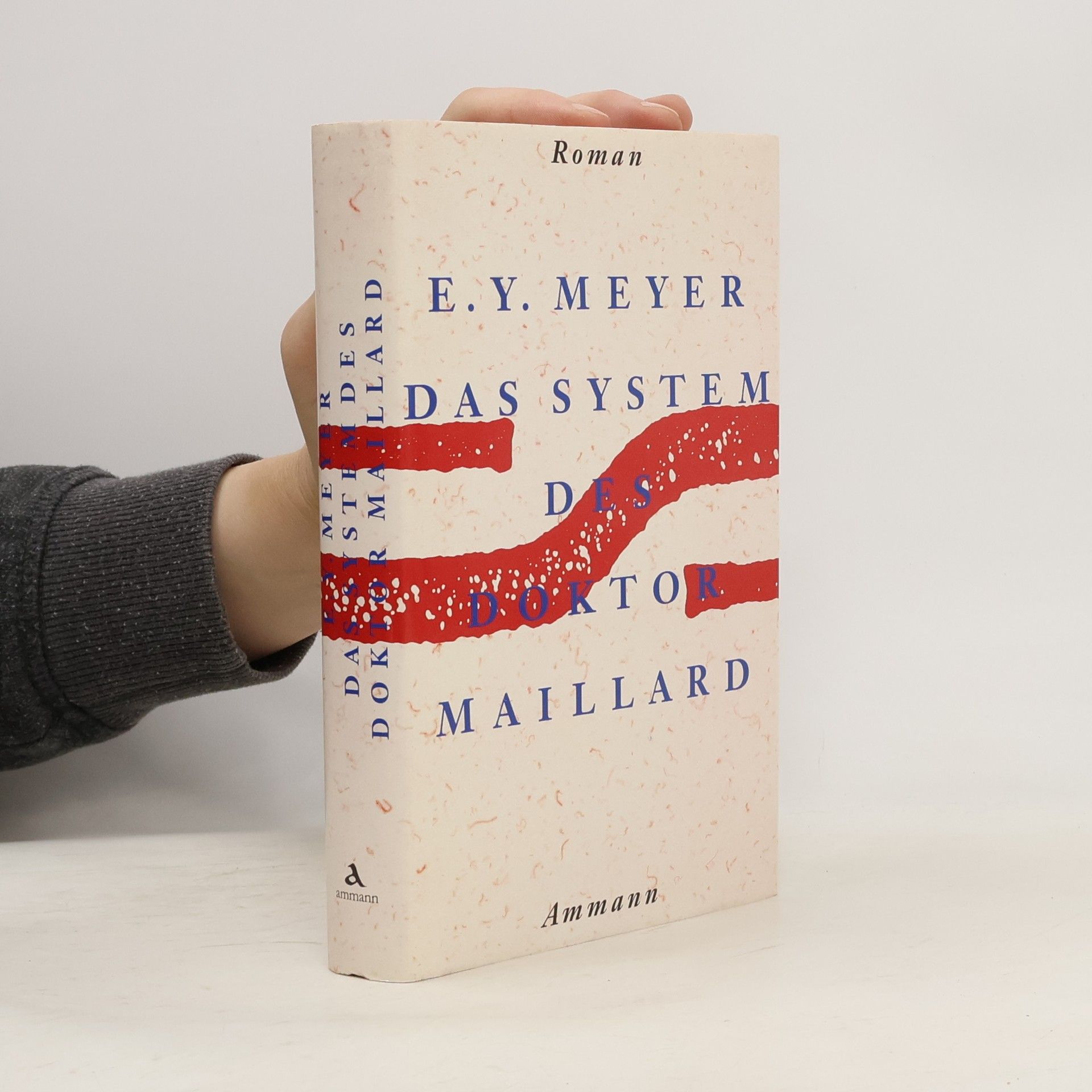 E. Y. Meyer Das System des Doktor Maillard oder Die Welt der Maschinen