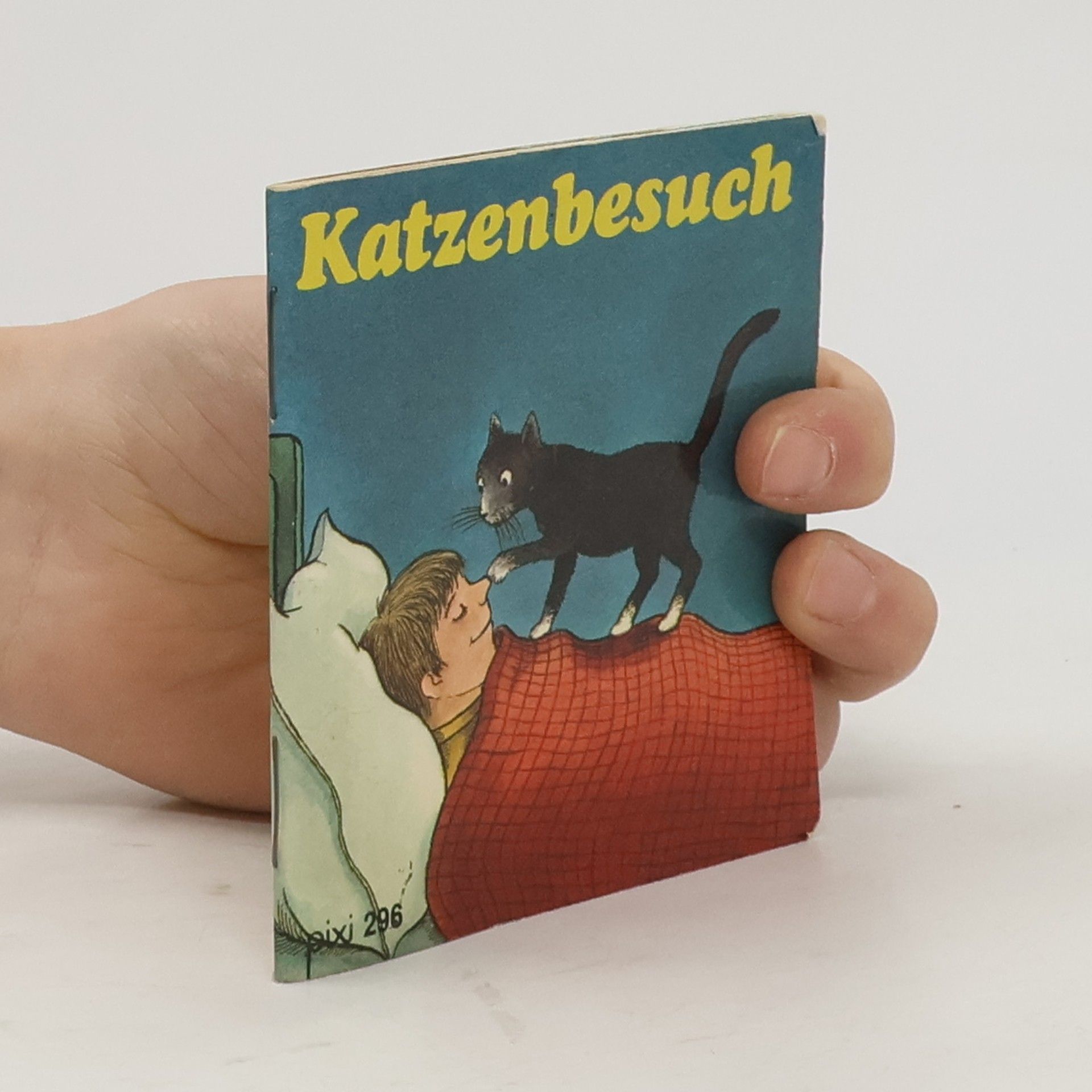 Julia Boehme Maxi Pixi 383: Tafiti: Der Löwe mit dem Wackelzahn