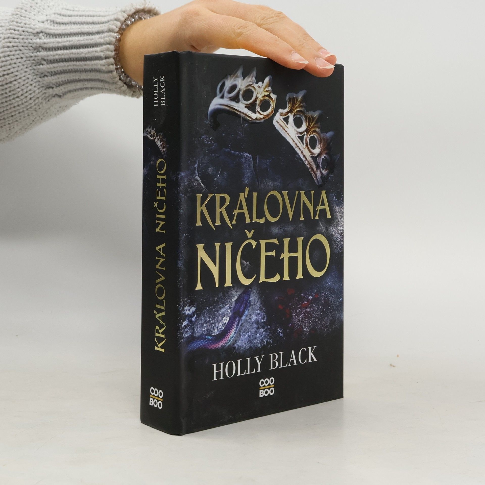 Holly Black Královna ničeho