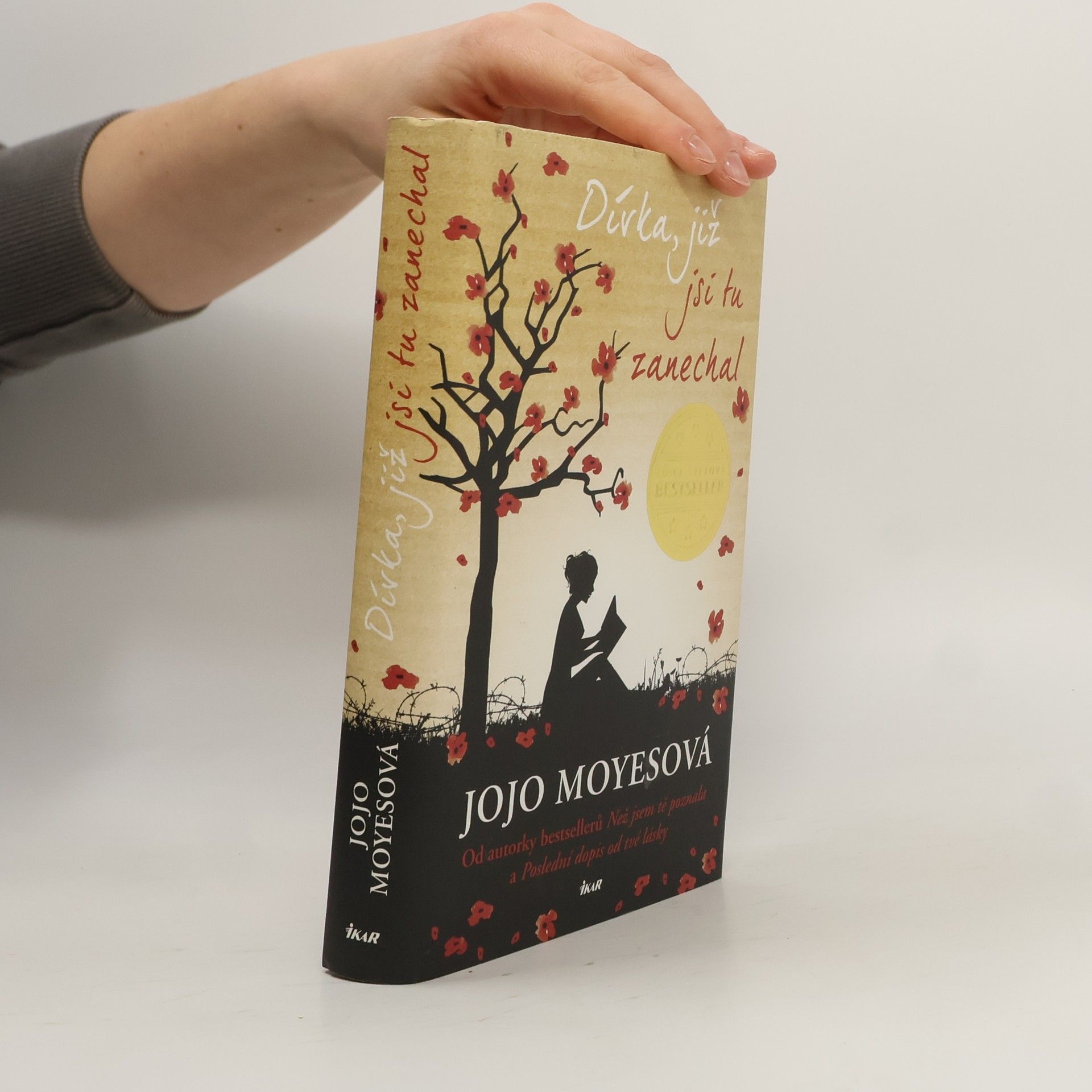 Lucie Mikolajková Dívka, již jsi tu zanechal