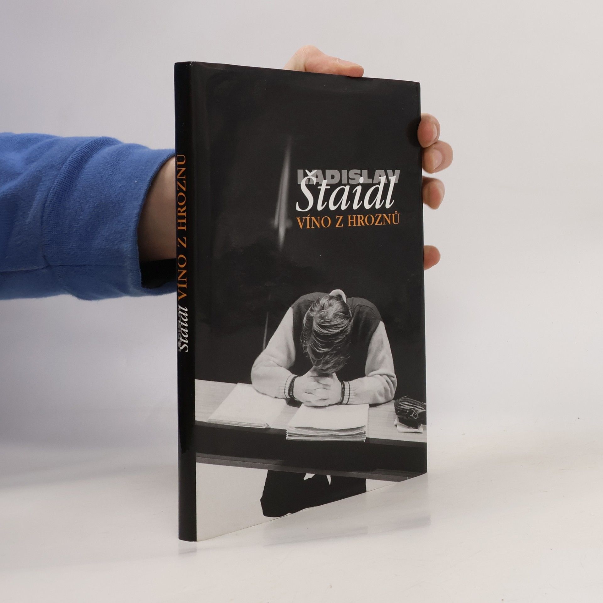 Ladislav Štaidl Víno z hroznů