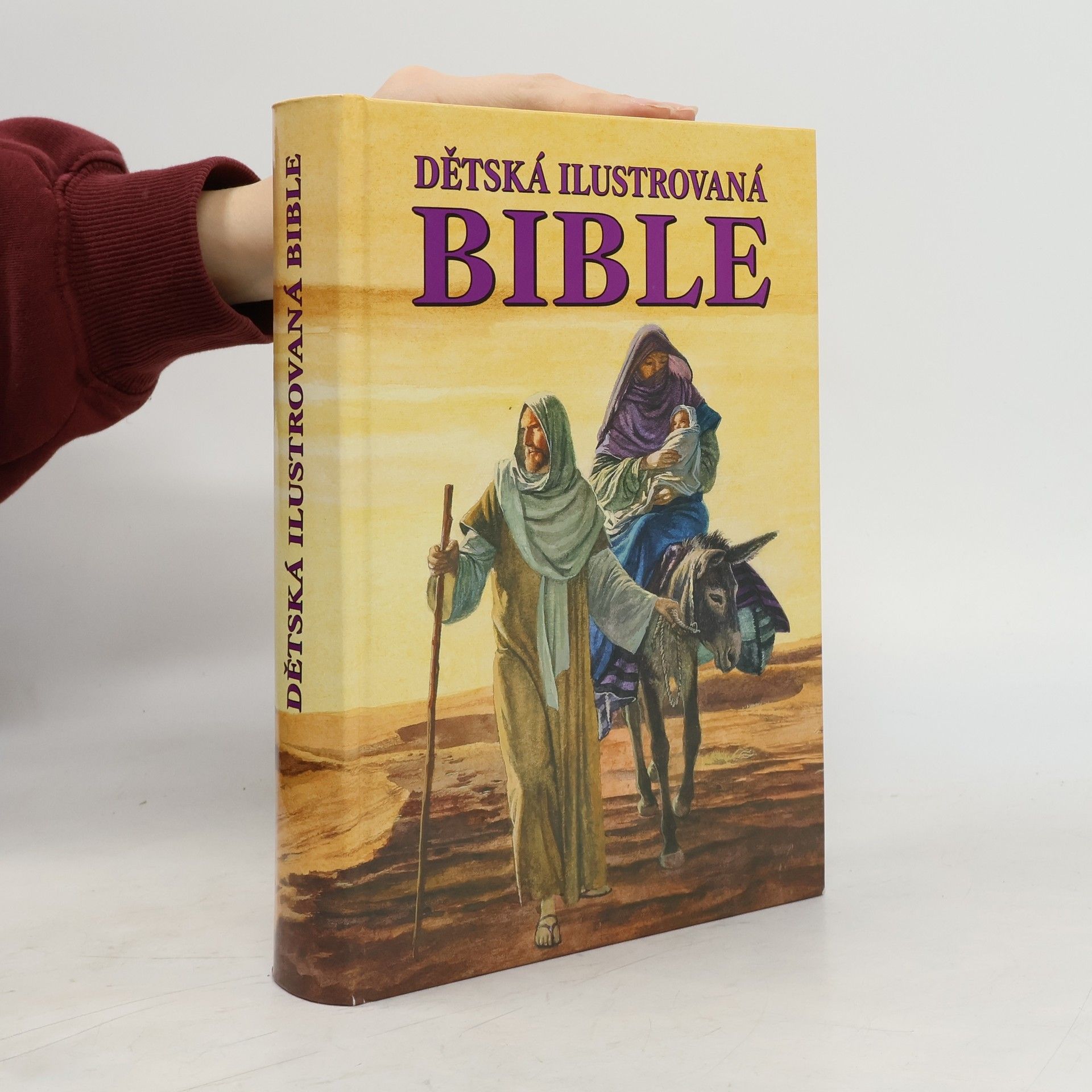 Autorenkollektiv Dětská ilustrovaná bible