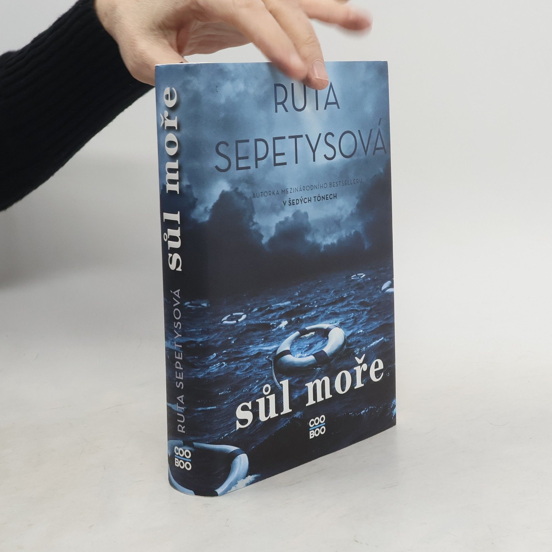 Ruta Sepetys Sůl moře