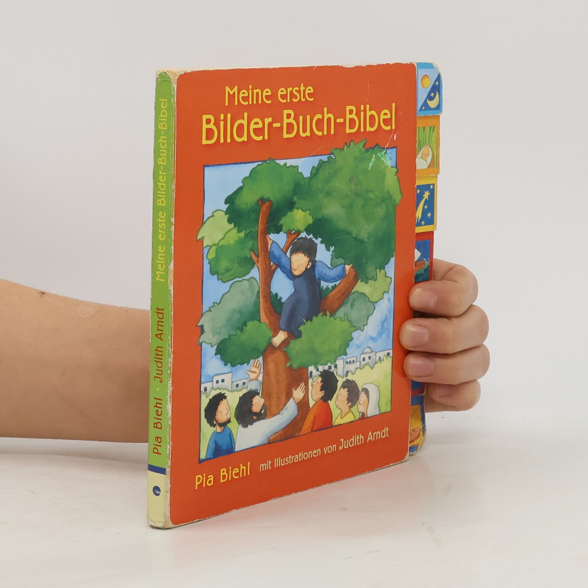 Pia Biehl Meine erste Bilder-Buch-Bibel