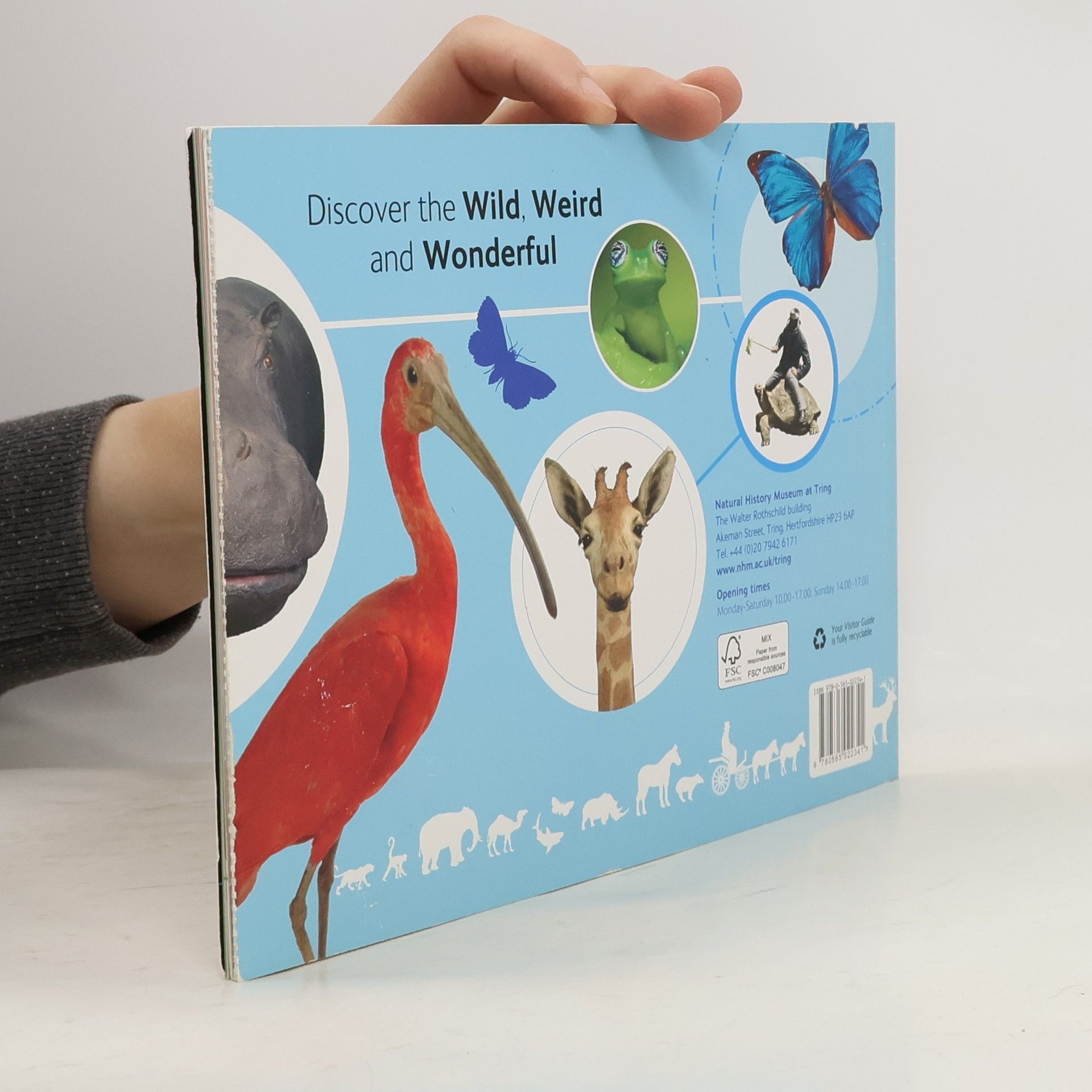 Zoological Museum (Tring, England) Visitor Guide